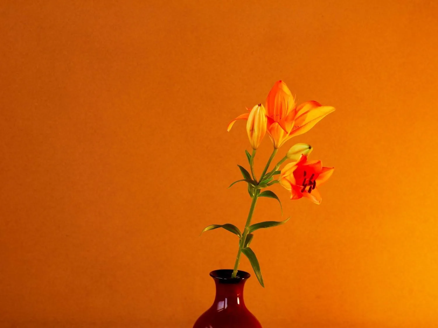 Photo of the whole room in Yamatoya Honten