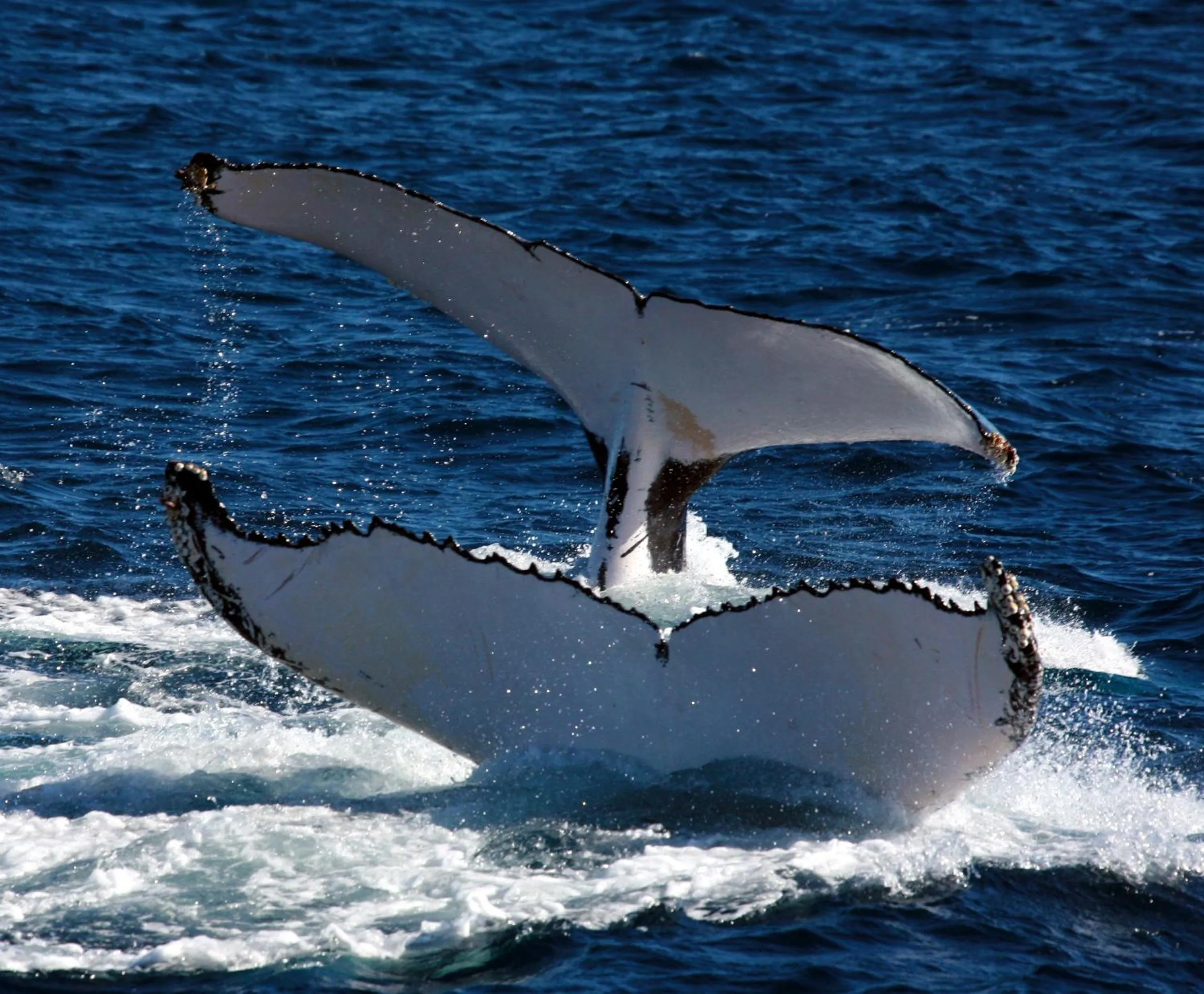 Natural landscape in Mackerel Islands