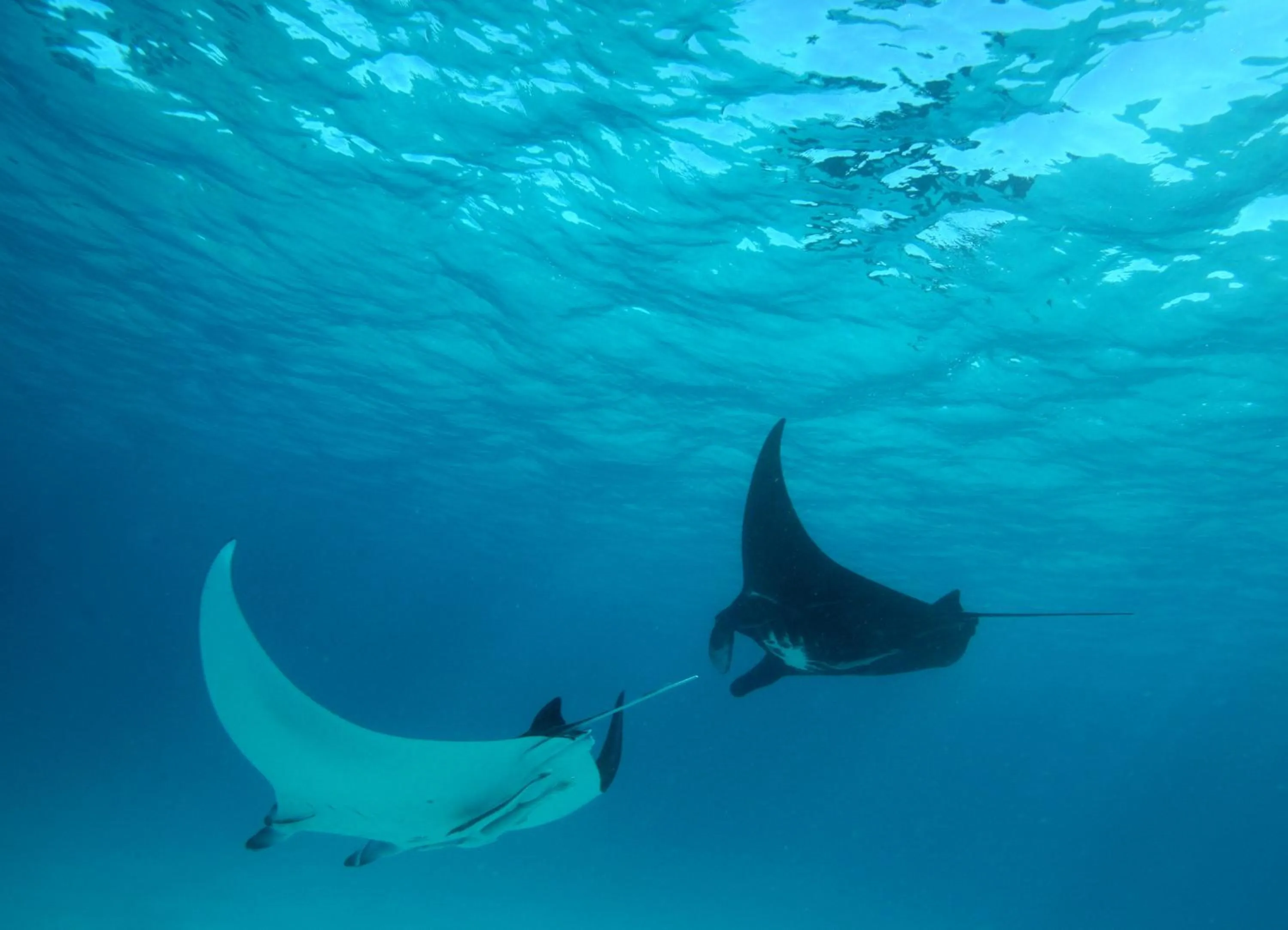 Natural landscape in Mackerel Islands