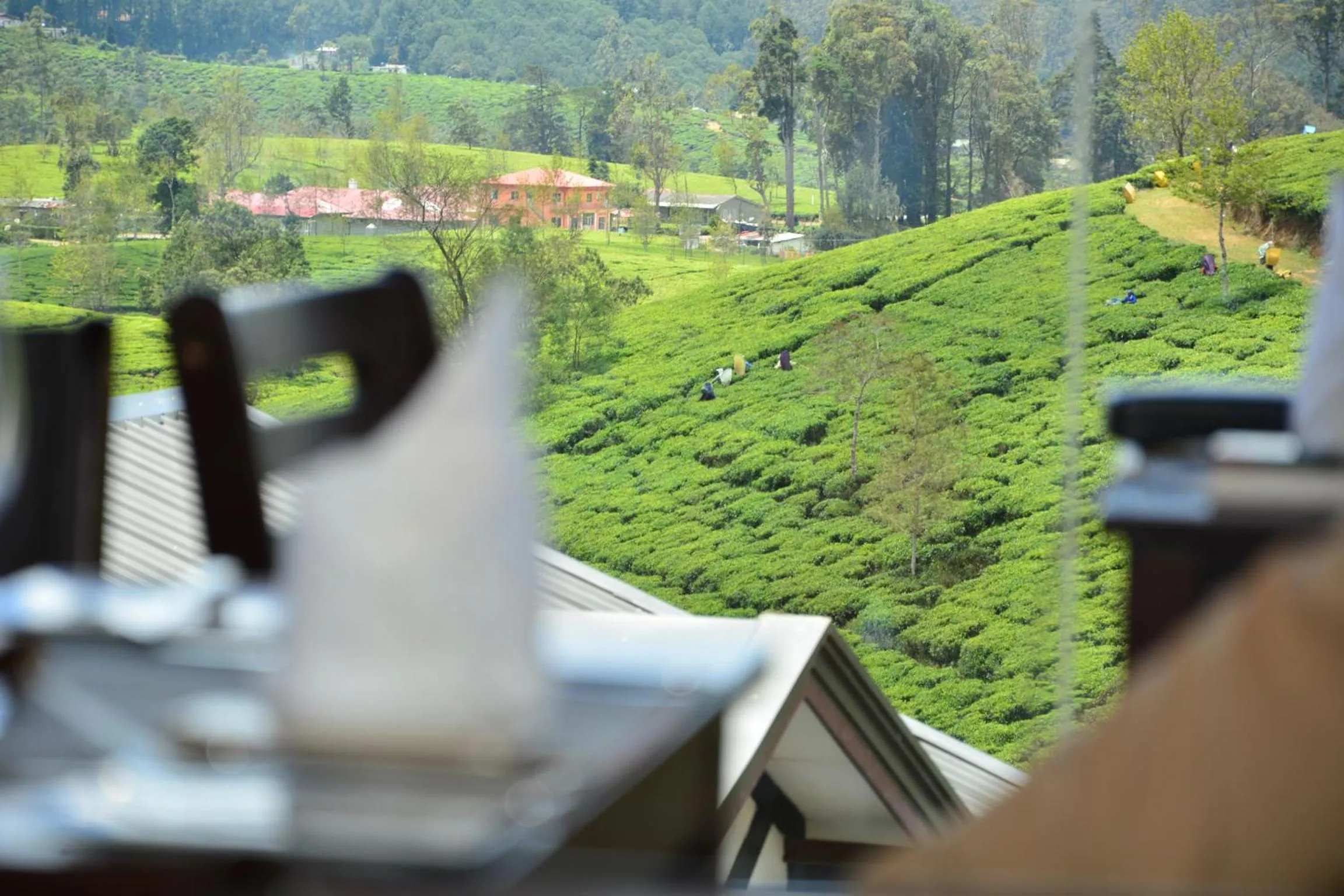 Mountain view in Villa Mount Royal