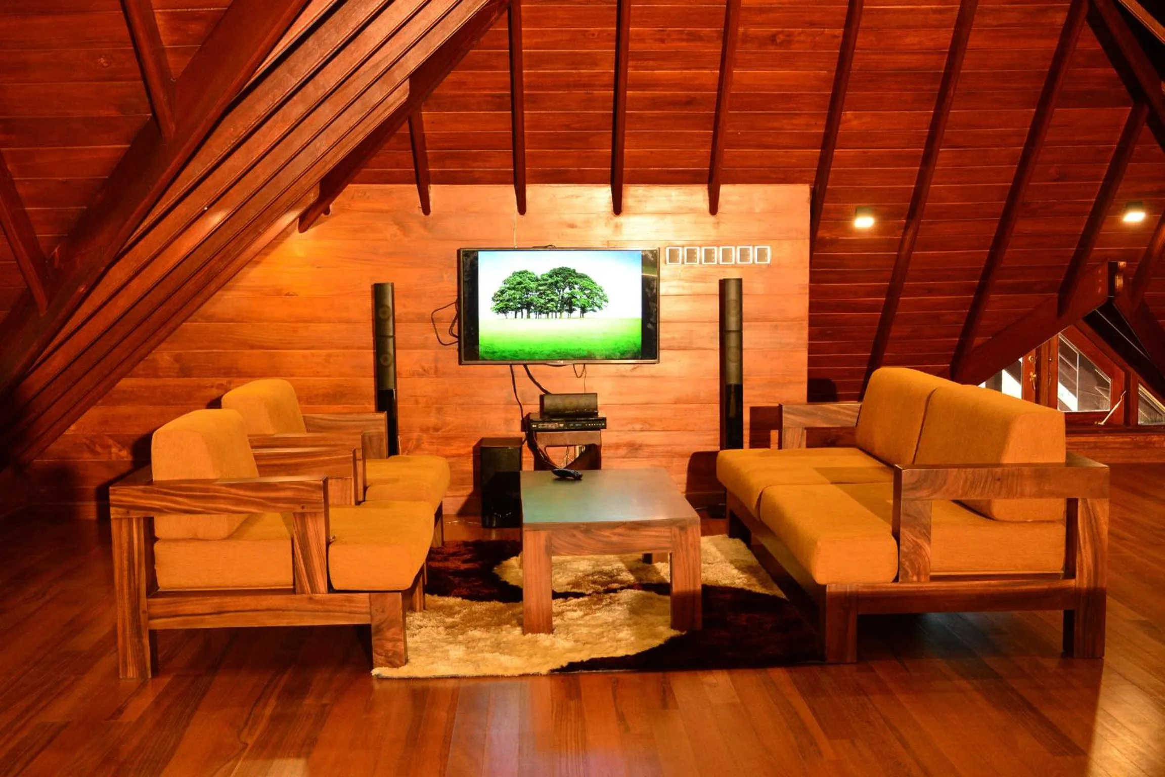 TV and multimedia in Villa Mount Royal