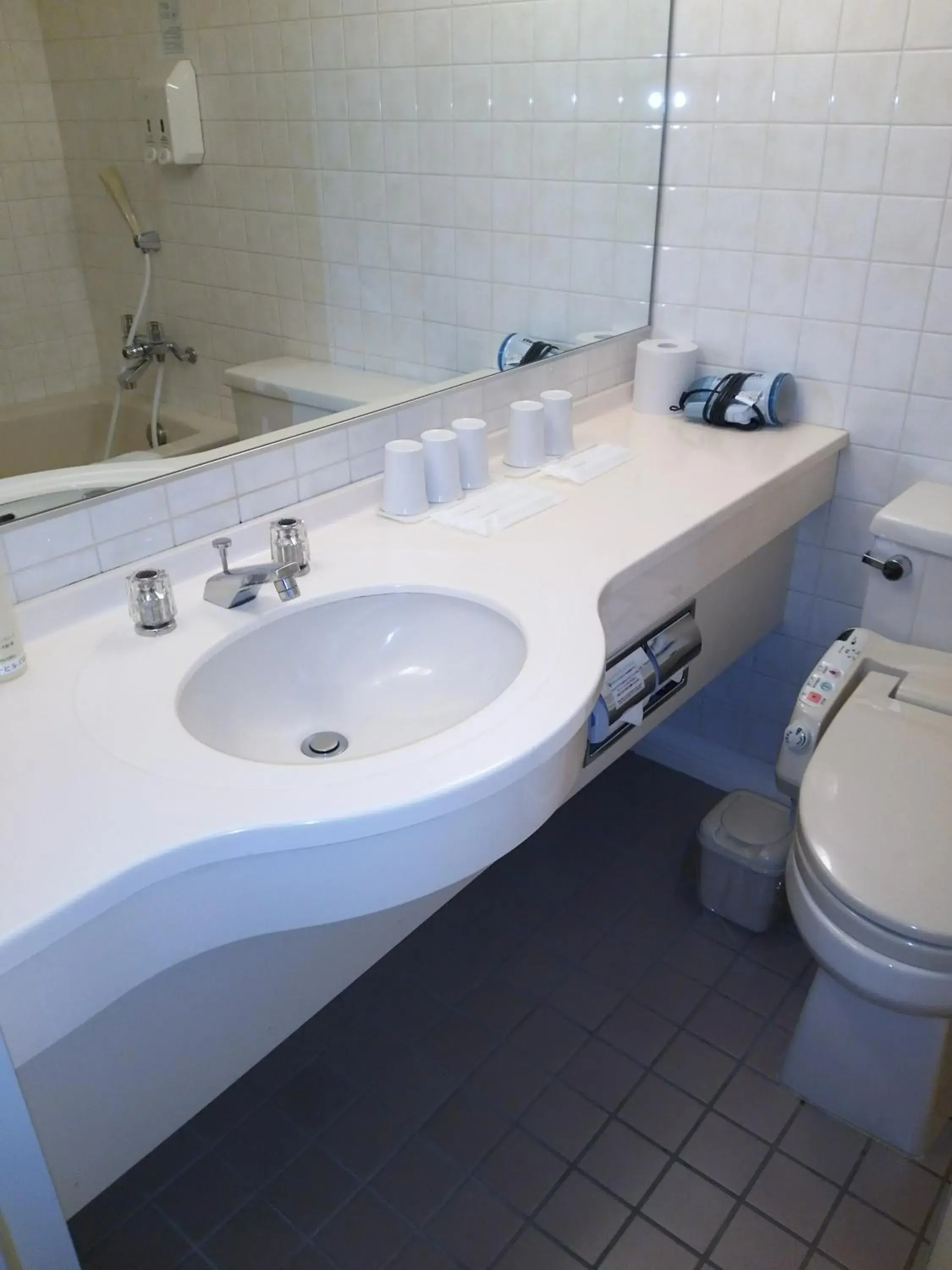 Photo of the whole room in Hotel Hyper Hills Hirosaki Photo of the whole room in Hotel Hyper Hills Hirosaki