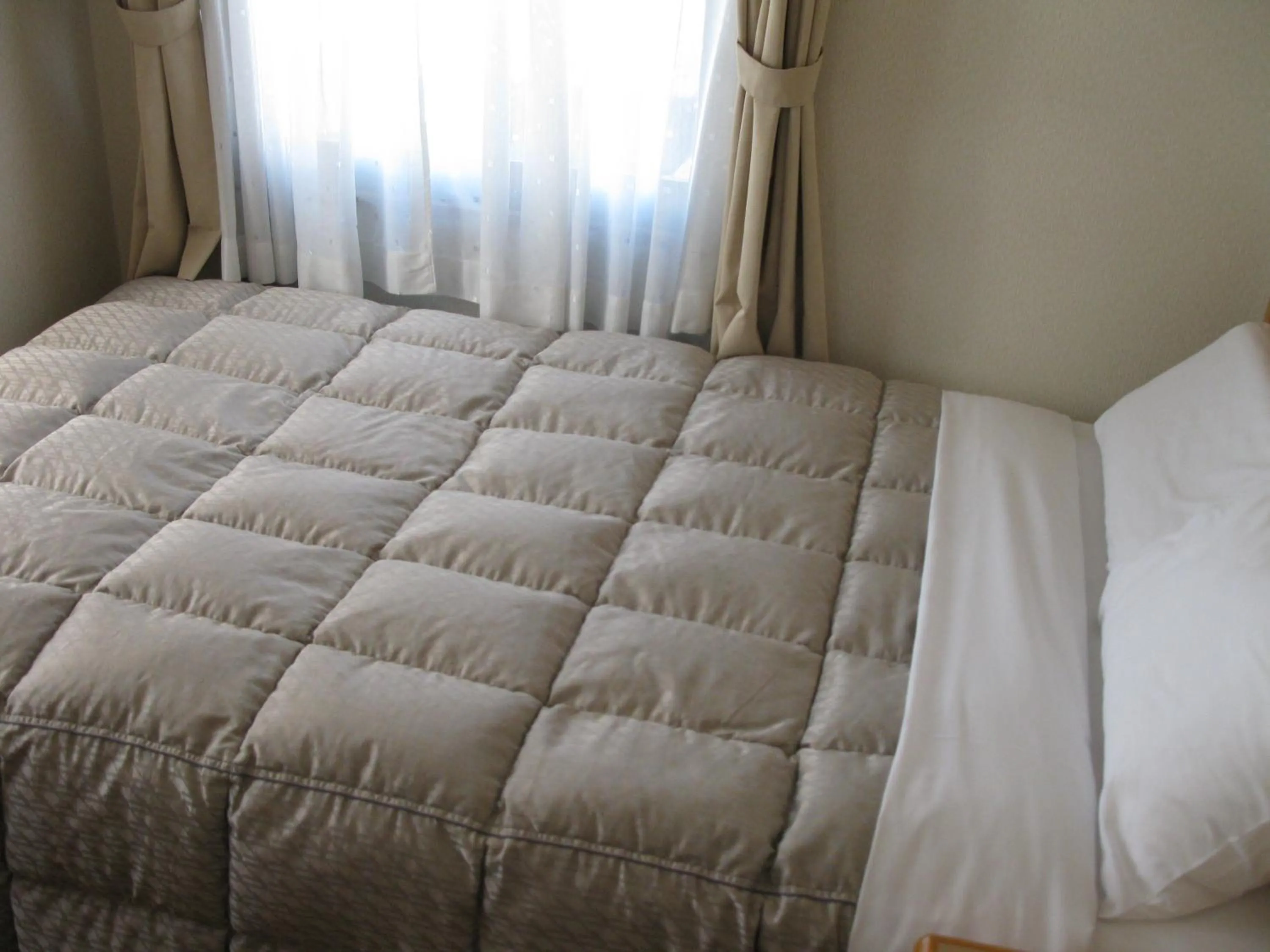 Photo of the whole room, Bed in Mito Riverside Hotel