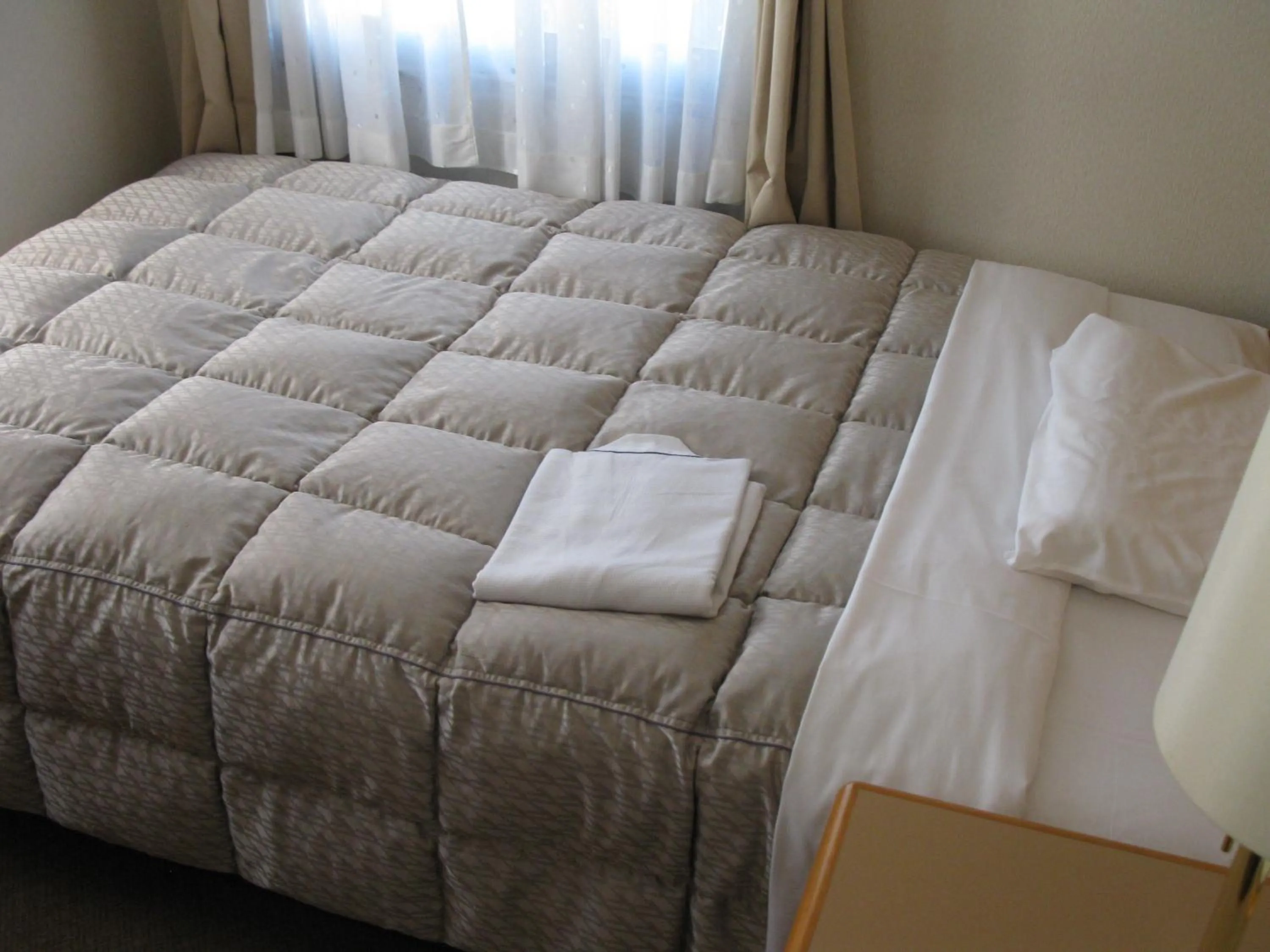 Photo of the whole room, Bed in Mito Riverside Hotel