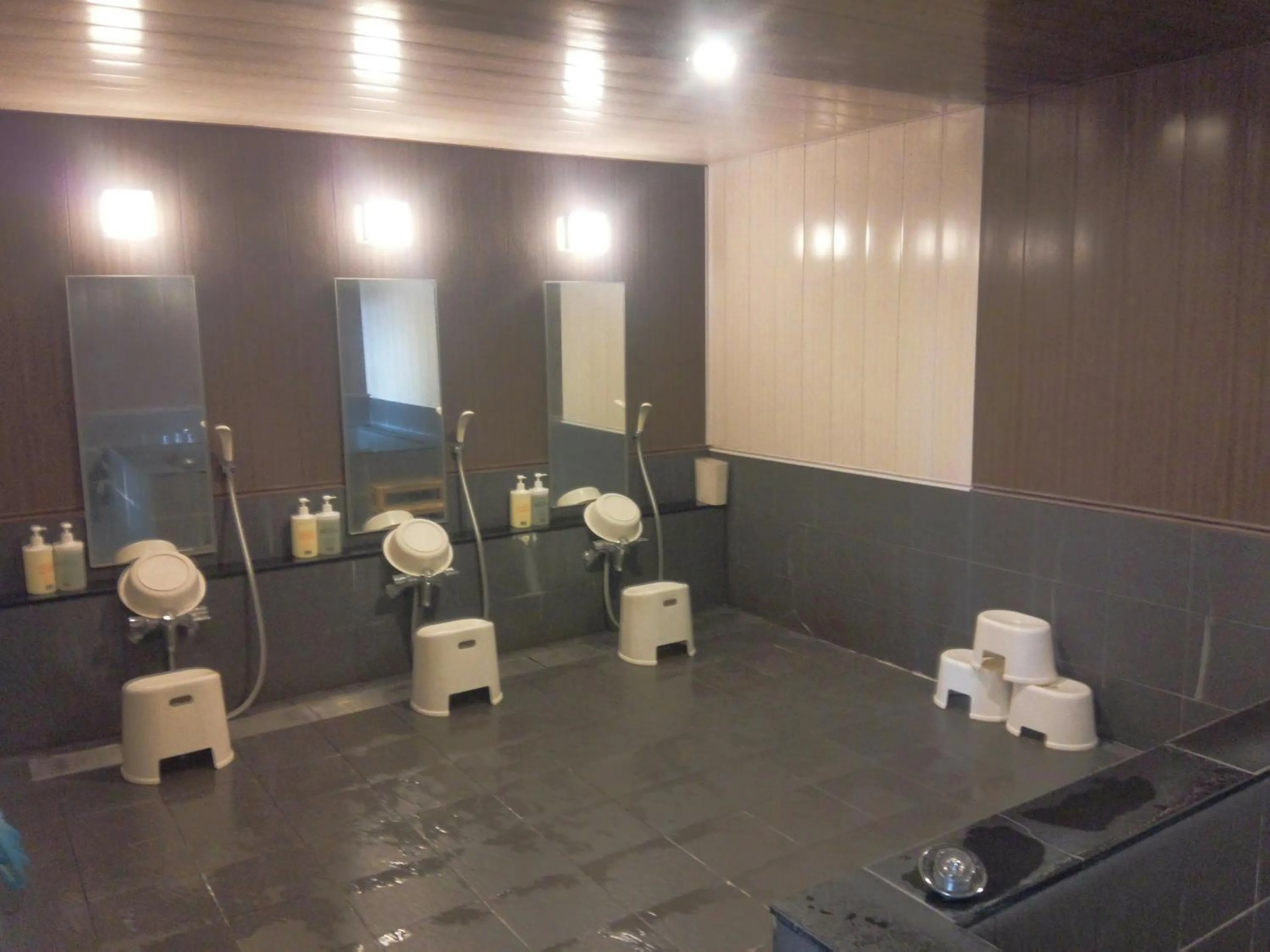 Public Bath in Mito Riverside Hotel