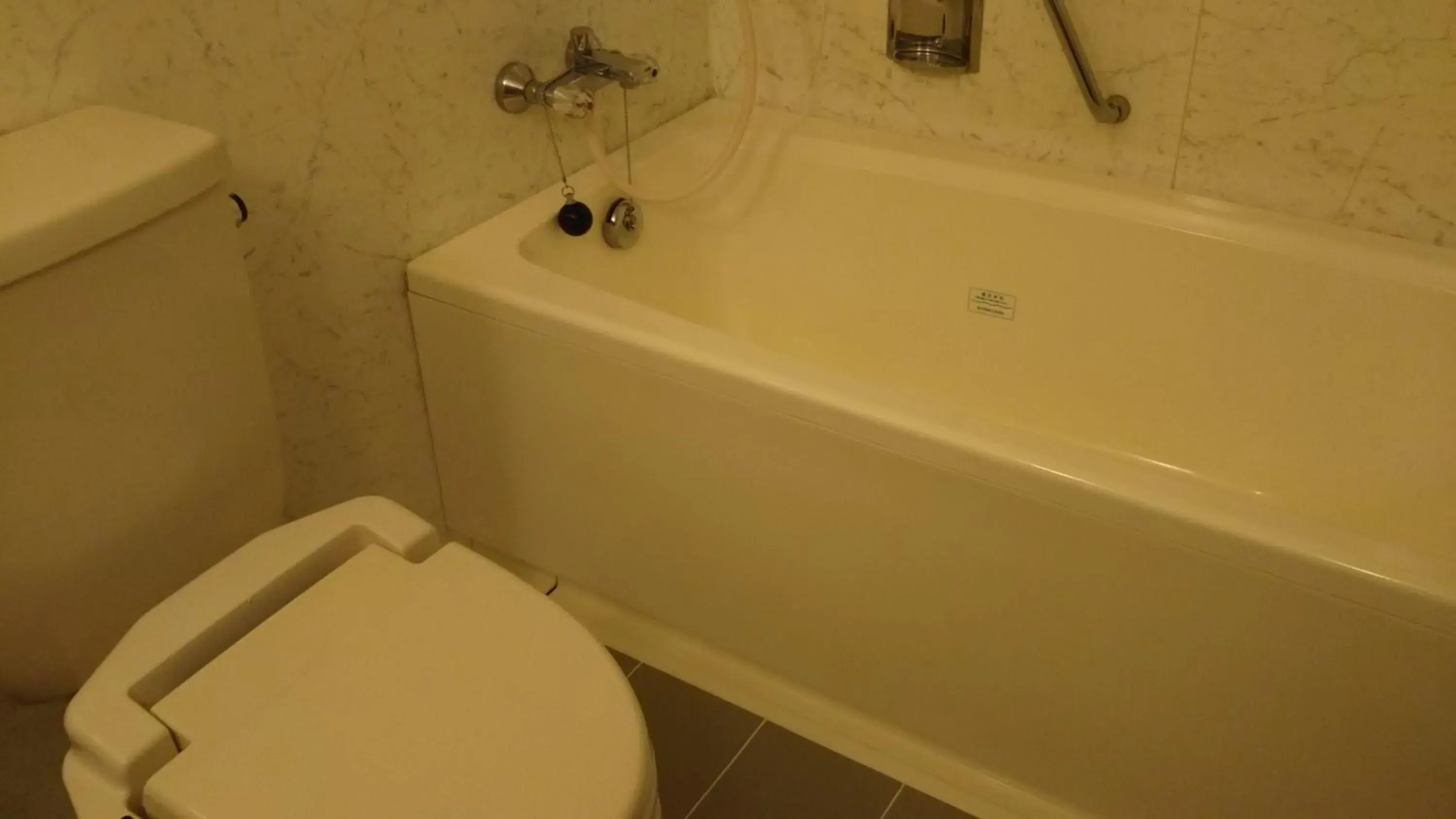 Photo of the whole room in Hotel Hitachi Hills Photo of the whole room in Hotel Hitachi Hills