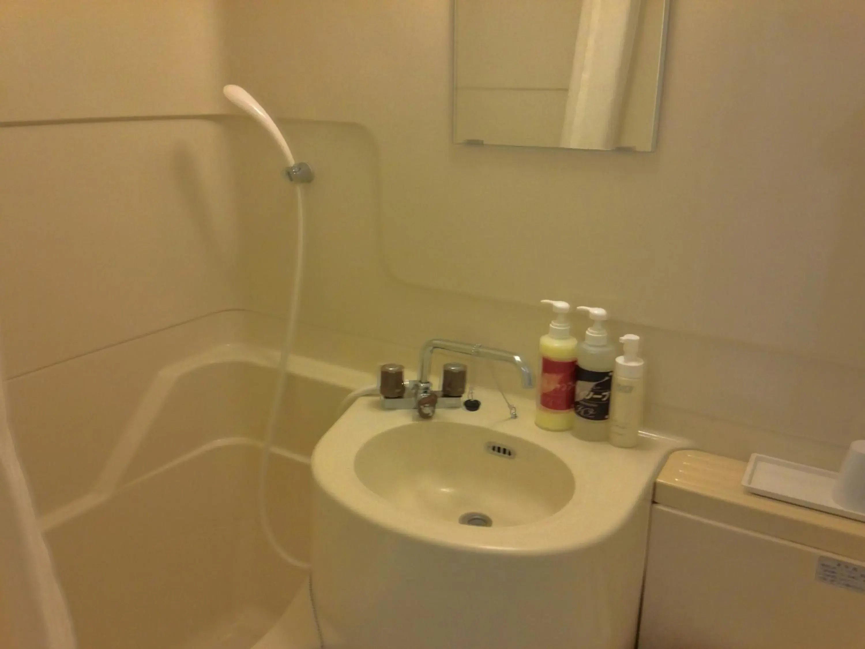 Photo of the whole room in Hotel Tsukuba Hills Umezono Photo of the whole room in Hotel Tsukuba Hills Umezono