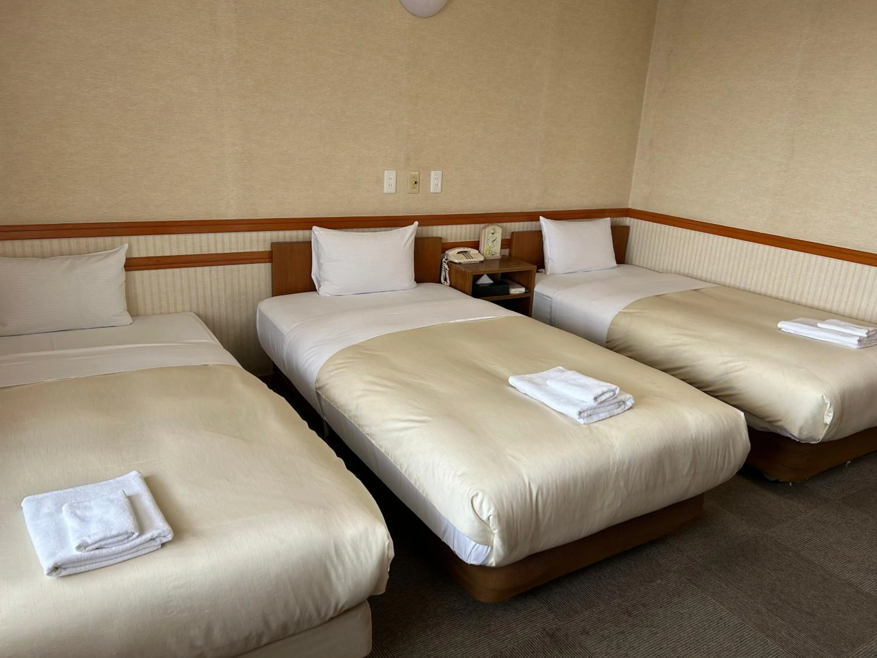 Photo of the whole room, Bed in Hotel Tsukuba Hills Gakuen-odori