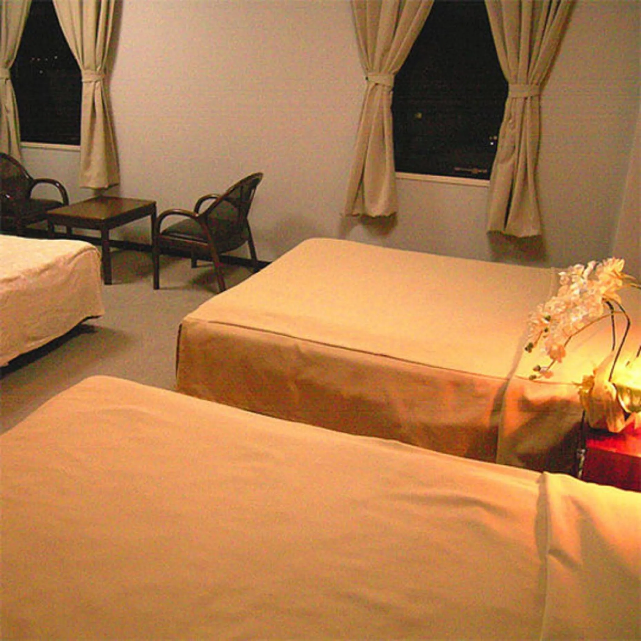 Photo of the whole room, Bed in Hotel Tsubame Hills