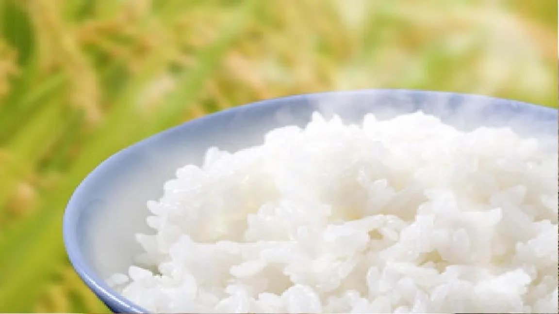 Food in Niigata City Hotel