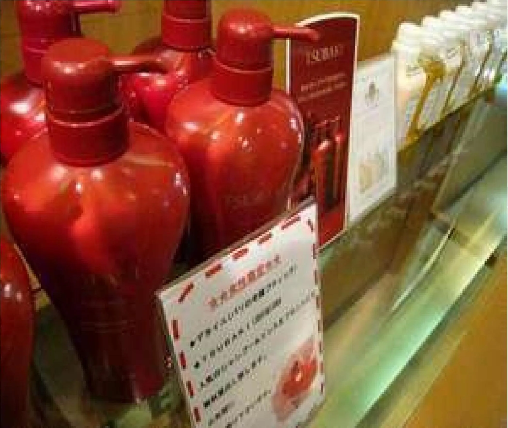 Other in Niigata City Hotel