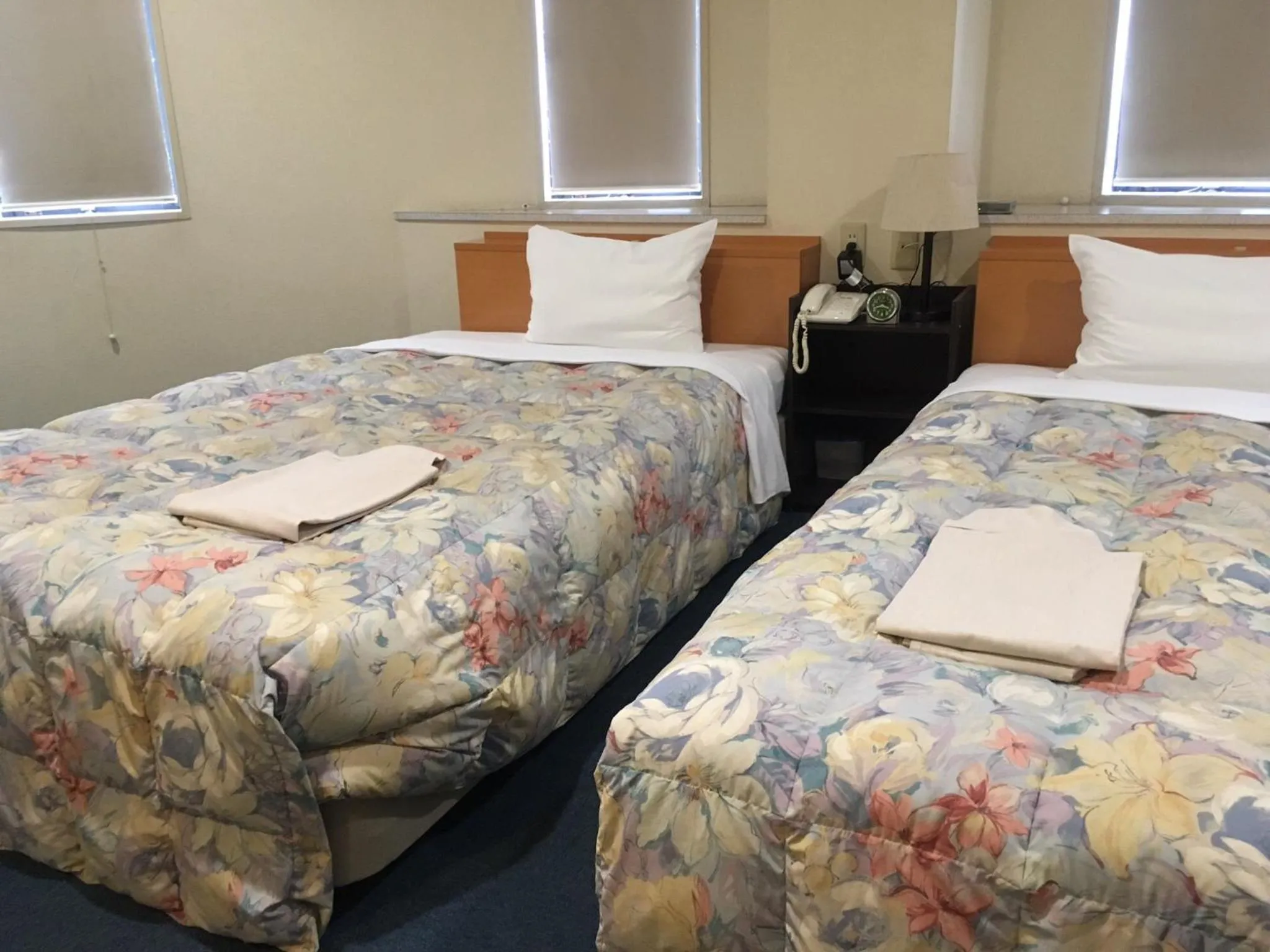 Photo of the whole room, Bed in Hotel Tajimi Hills Riverside