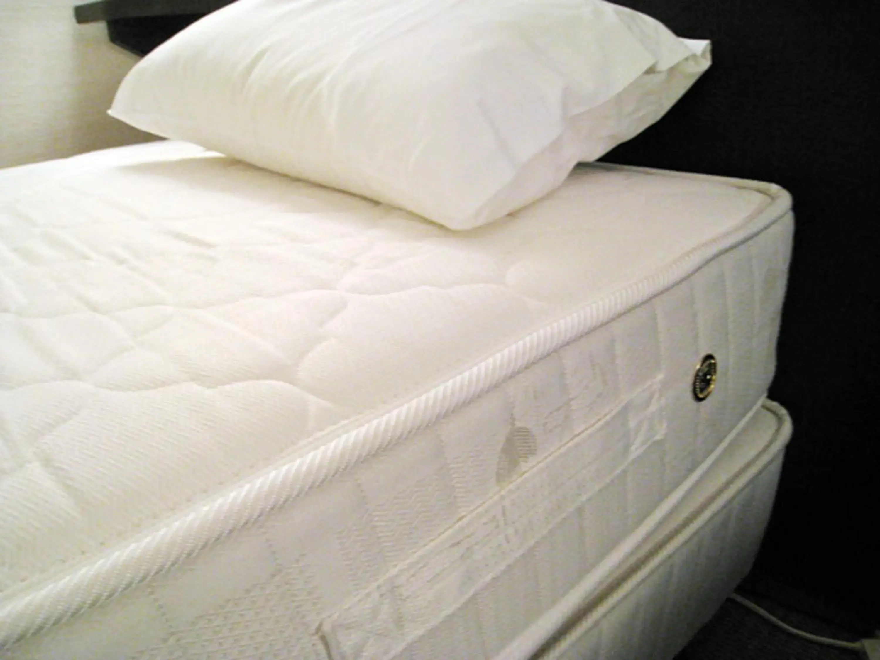 Other, Bed in Hotel Furukawa Hills Other, Bed in Hotel Furukawa Hills