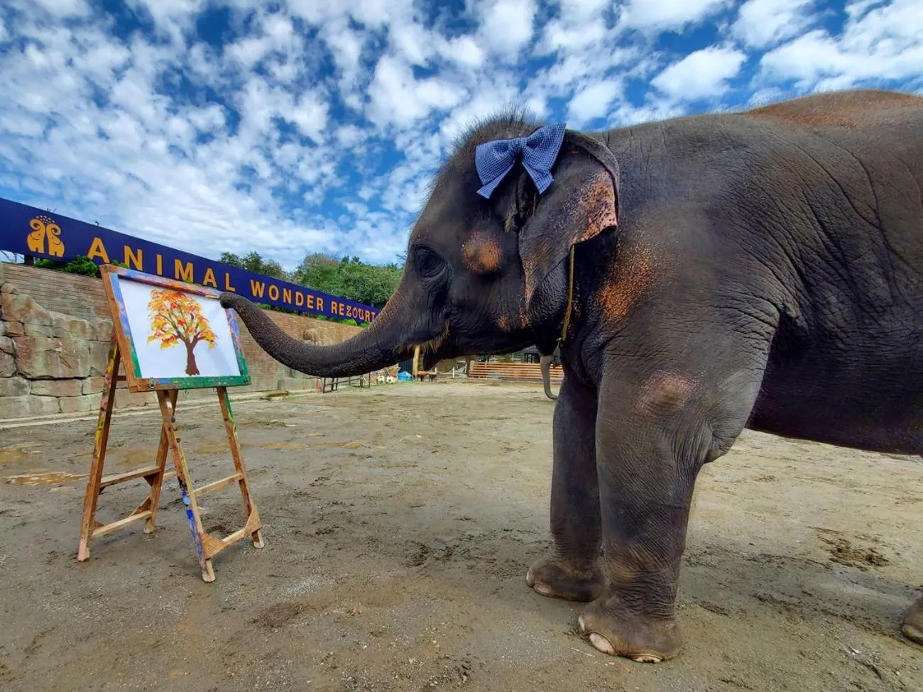 Nearby landmark in Business Hotel Goi Hills