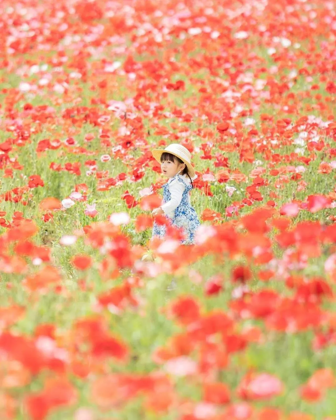 Nearby landmark in Business Hotel Goi Hills