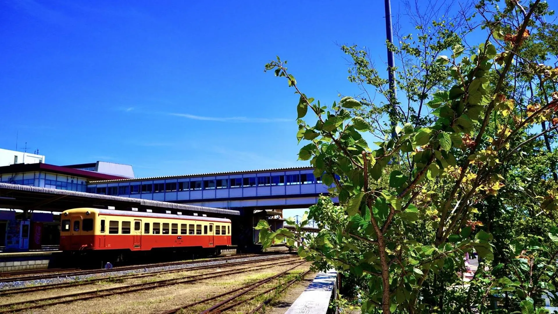 Nearby landmark in Business Hotel Goi Hills