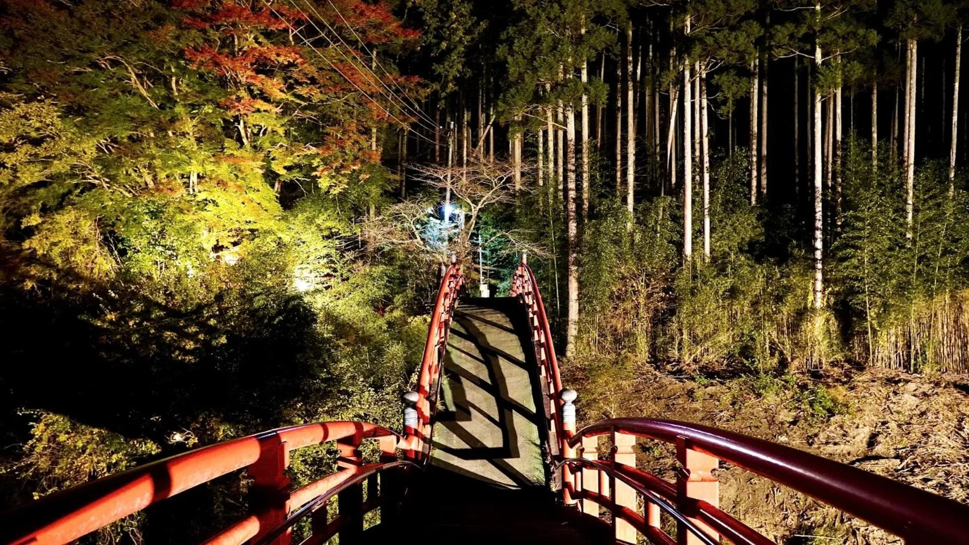 Nearby landmark in Business Hotel Goi Hills