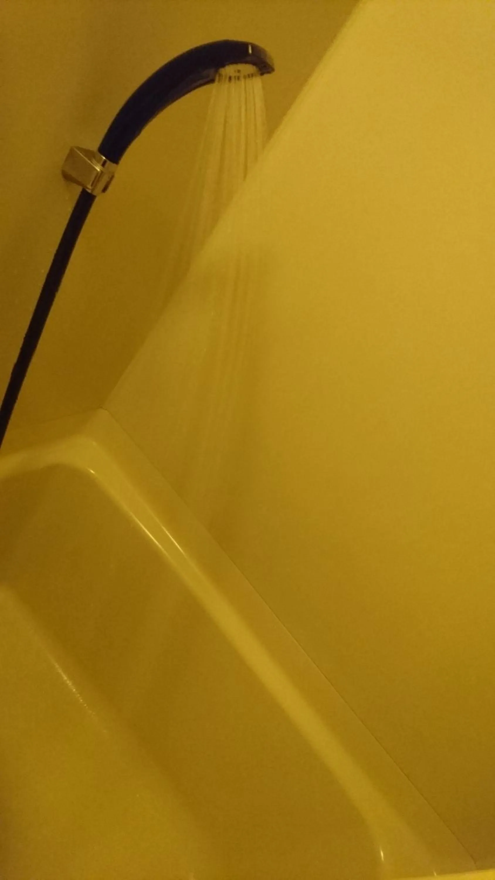 Shower in Hotel Himeji Hills