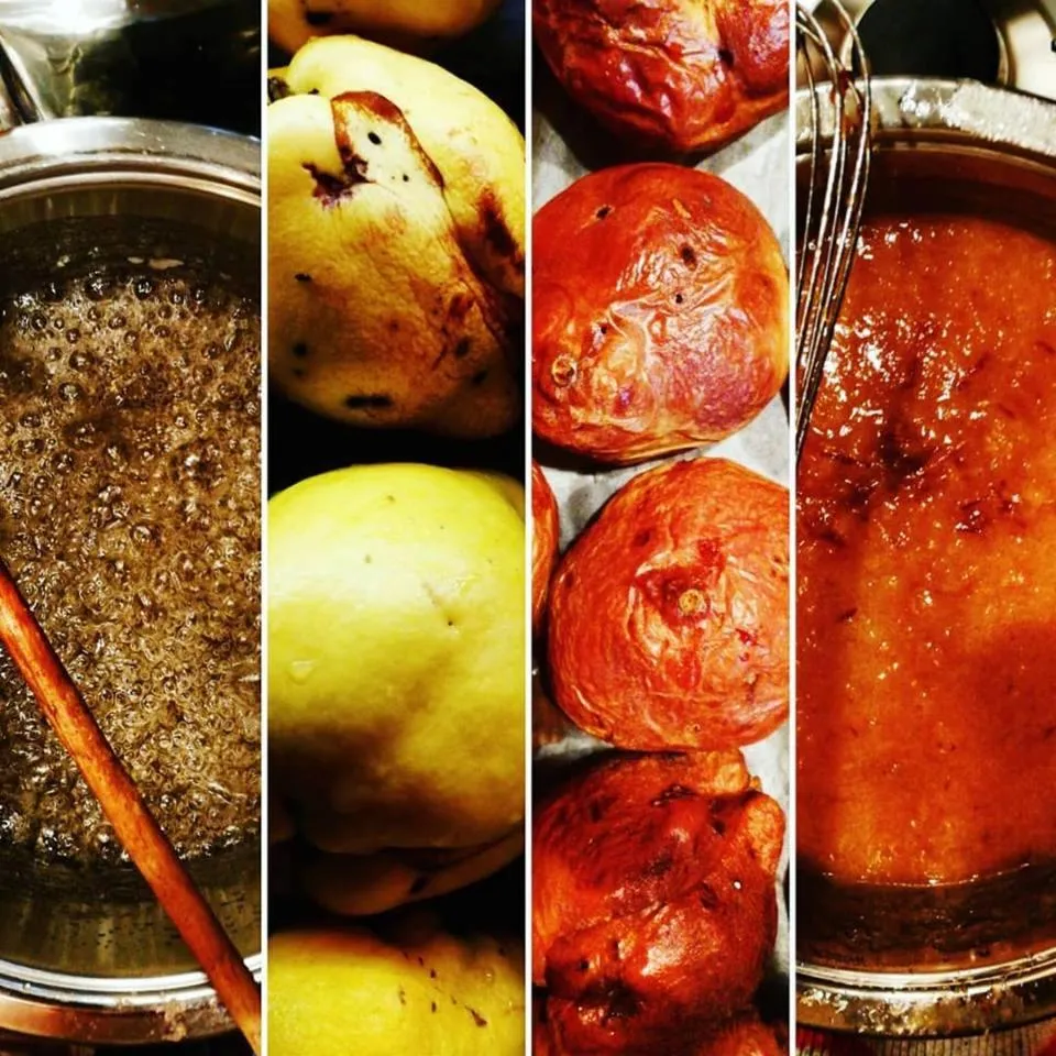 Food close-up in Elementa