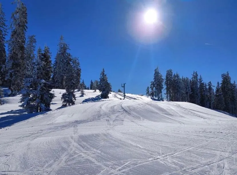 Skiing in Landhotel Berger