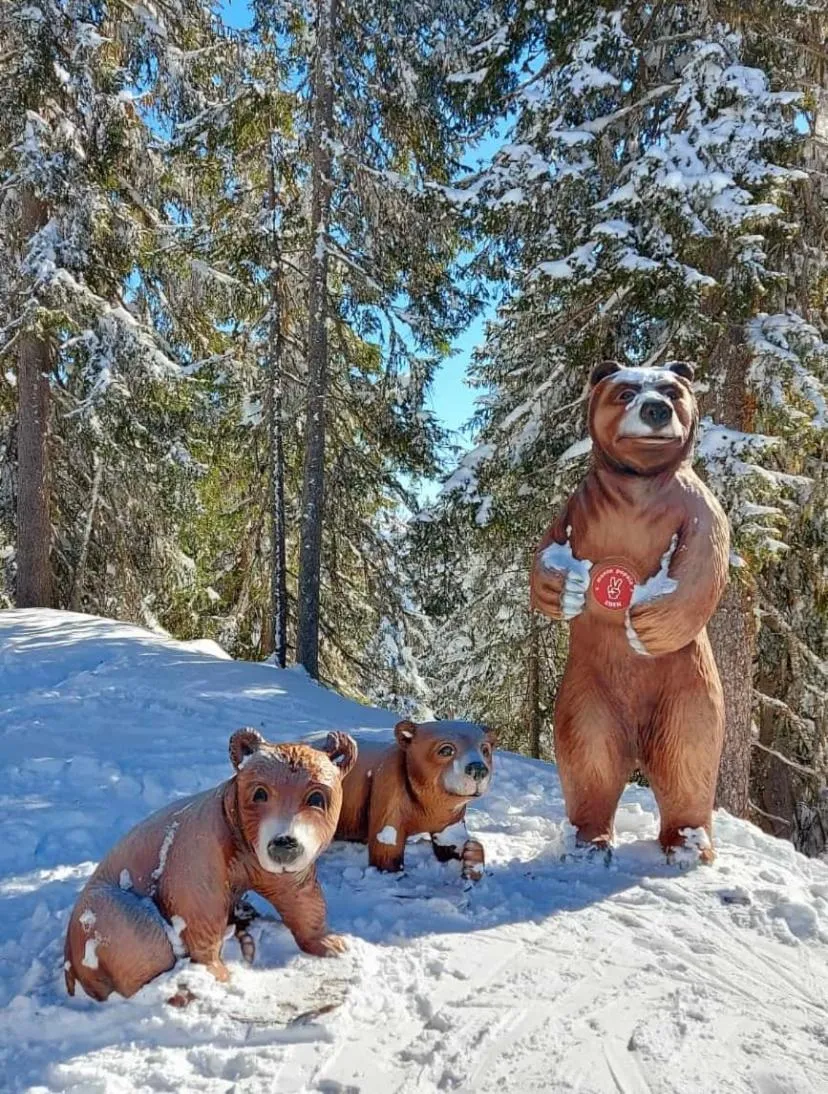 Skiing in Landhotel Berger