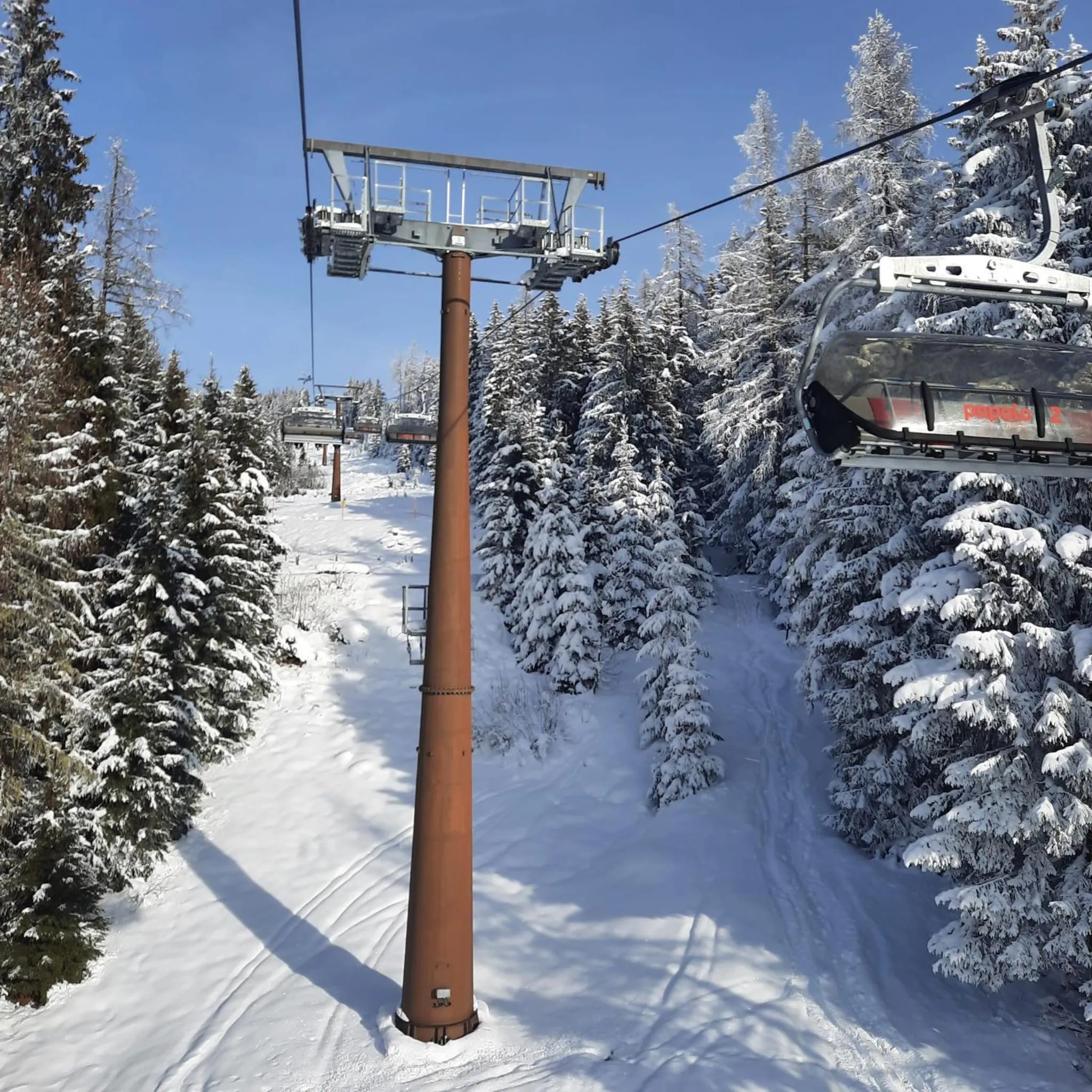 Skiing in Landhotel Berger