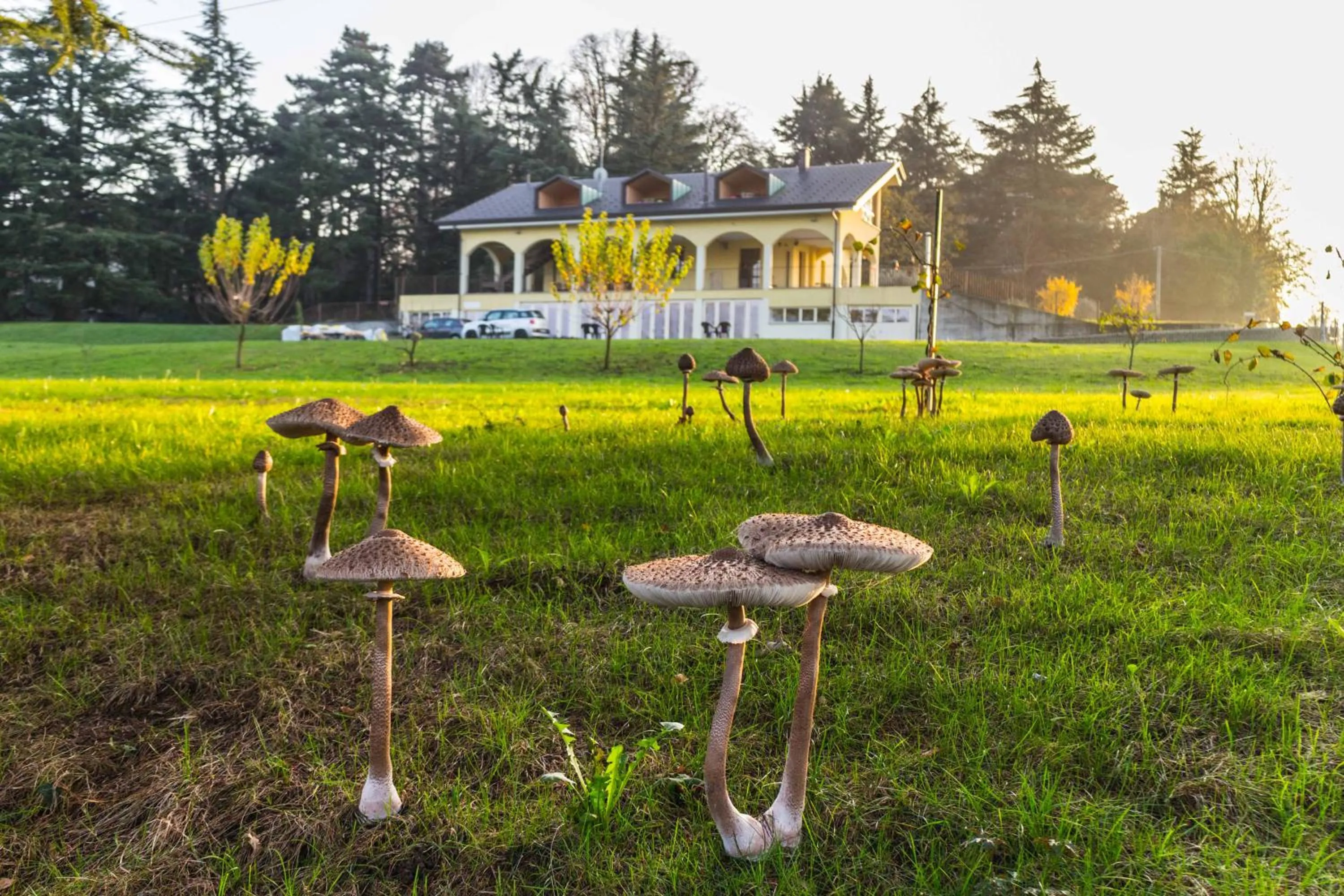 Property building in B&B Alla Roggetta