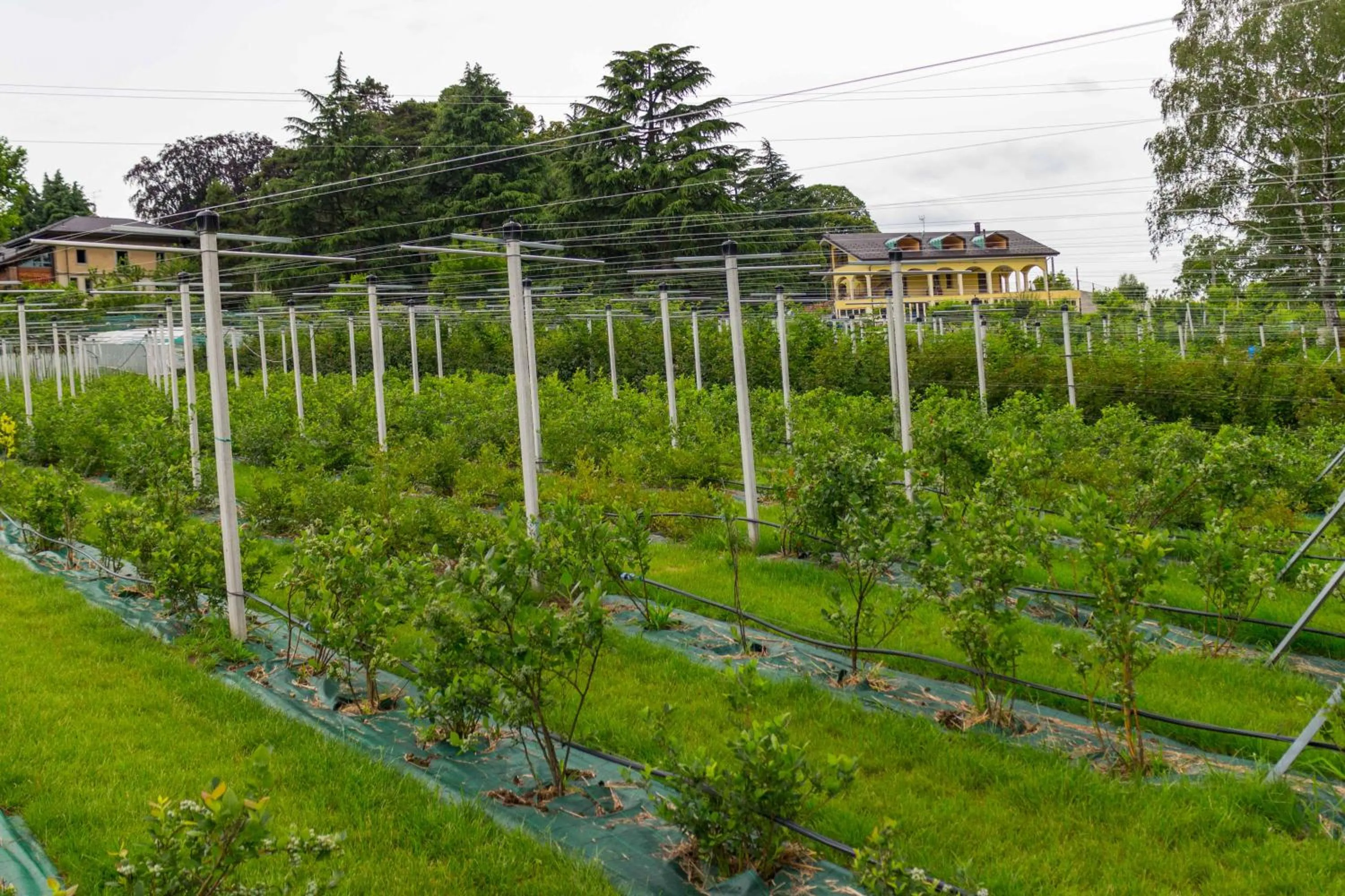 Property building in B&B Alla Roggetta