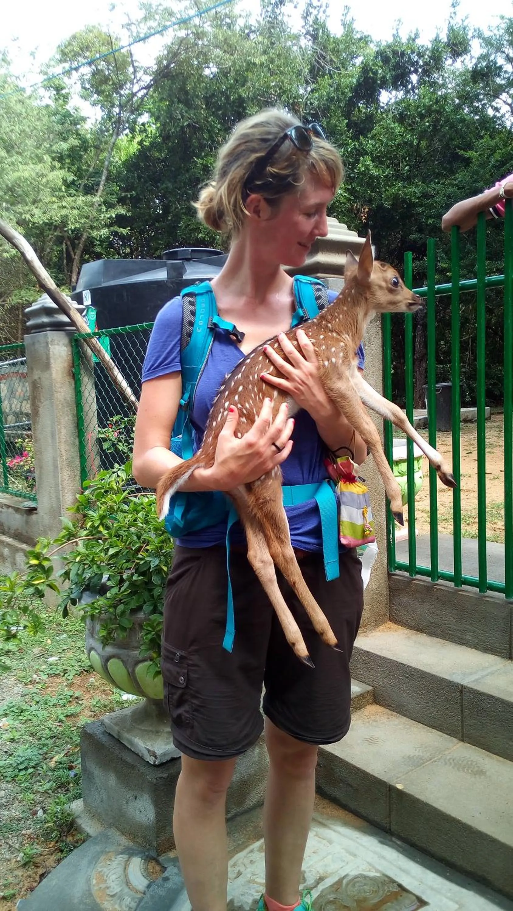 Animals in Nilaveli Beach Rooms