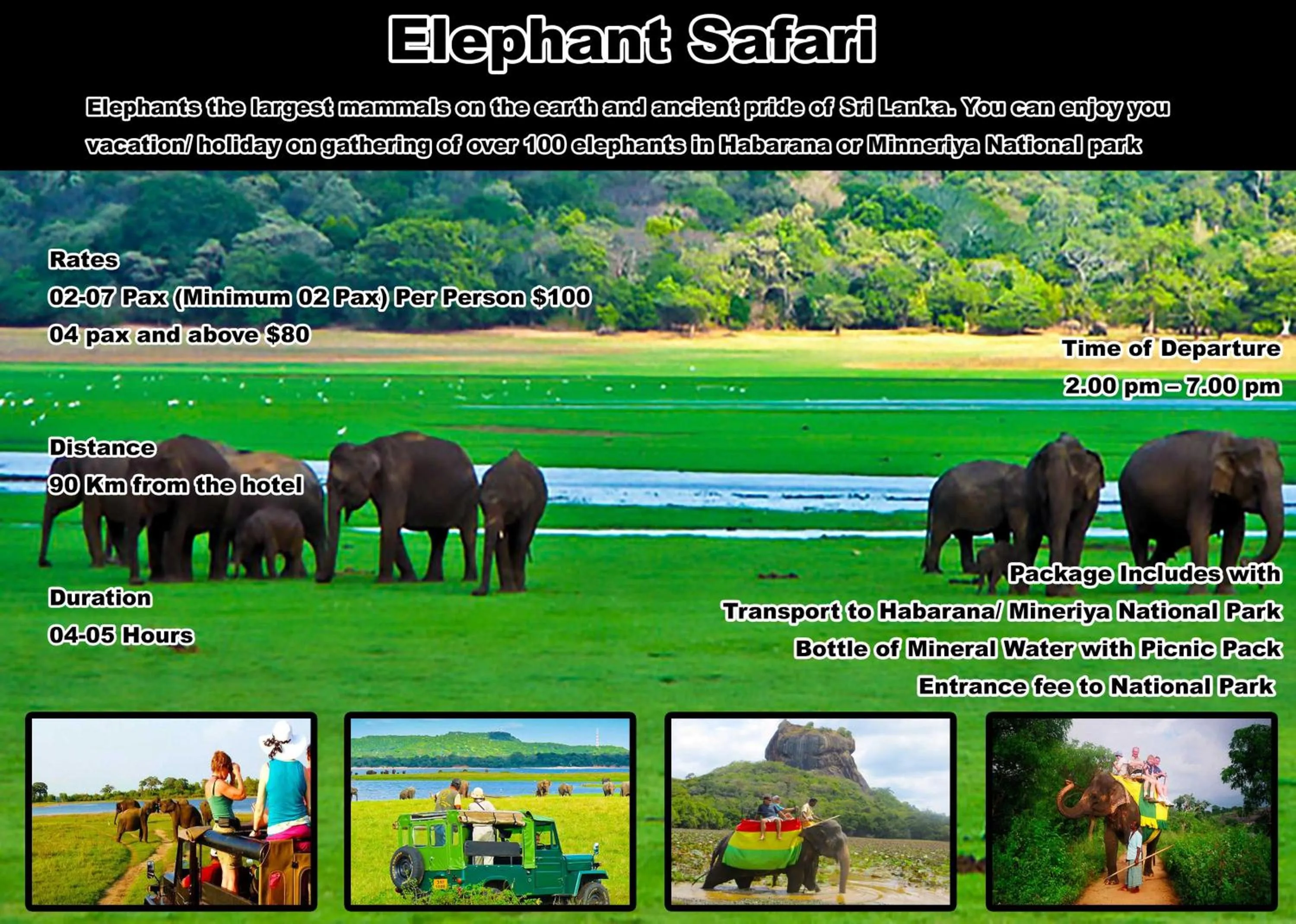 Animals in Nilaveli Beach Rooms