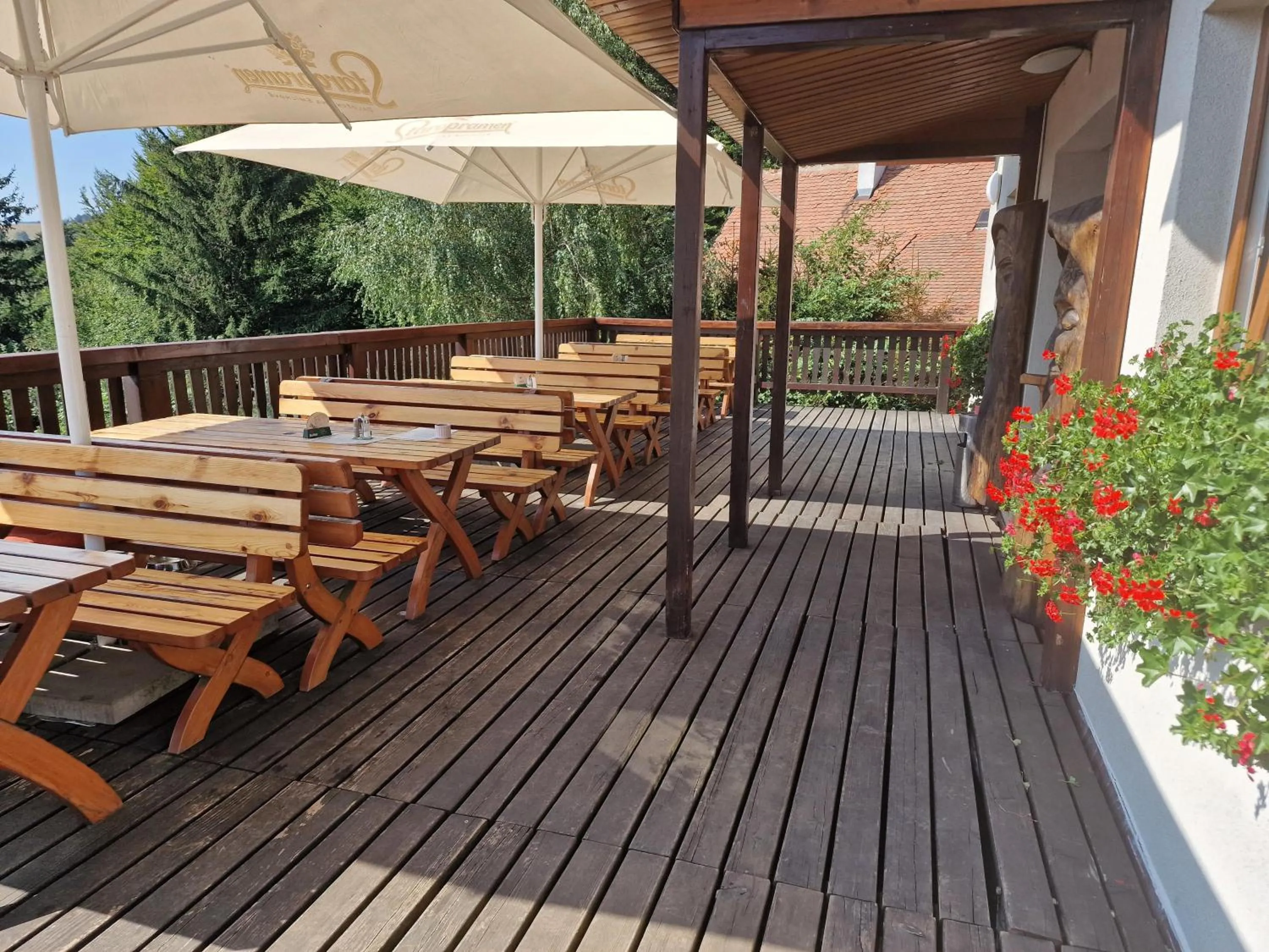 Restaurant/places to eat in Wellness hotel Chata Jana