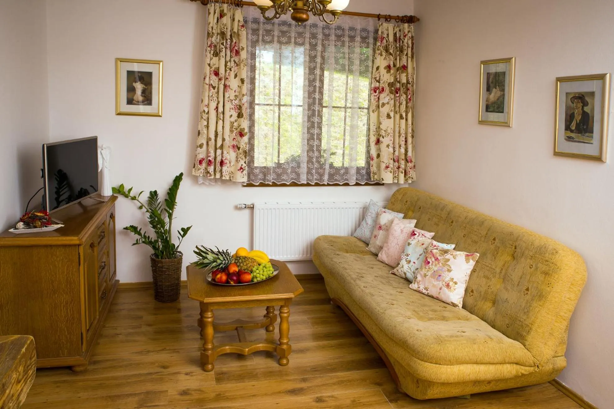 TV and multimedia in Wellness hotel Chata Jana