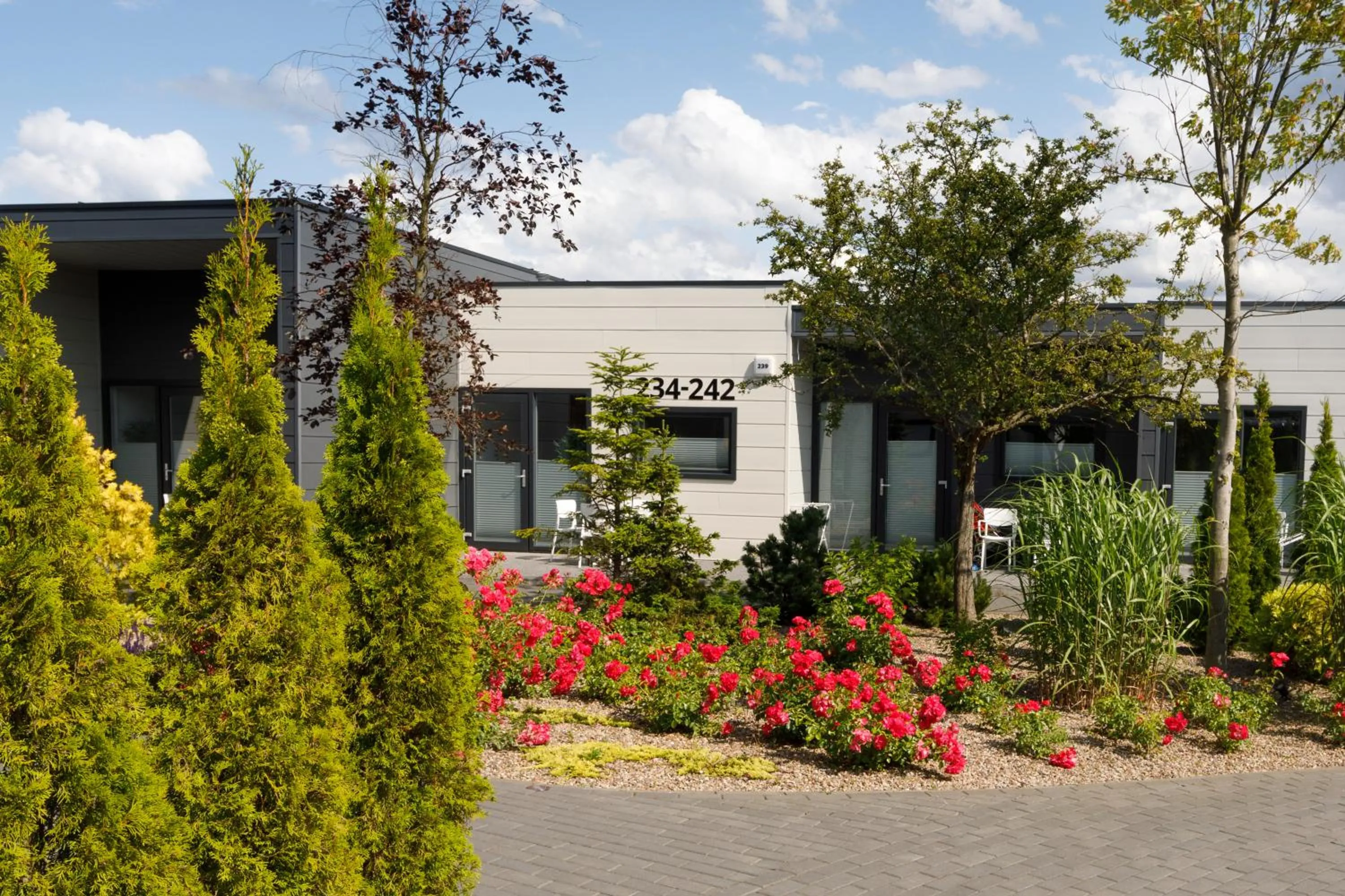 Windsurfing in Holiday Golden Resort & Spa