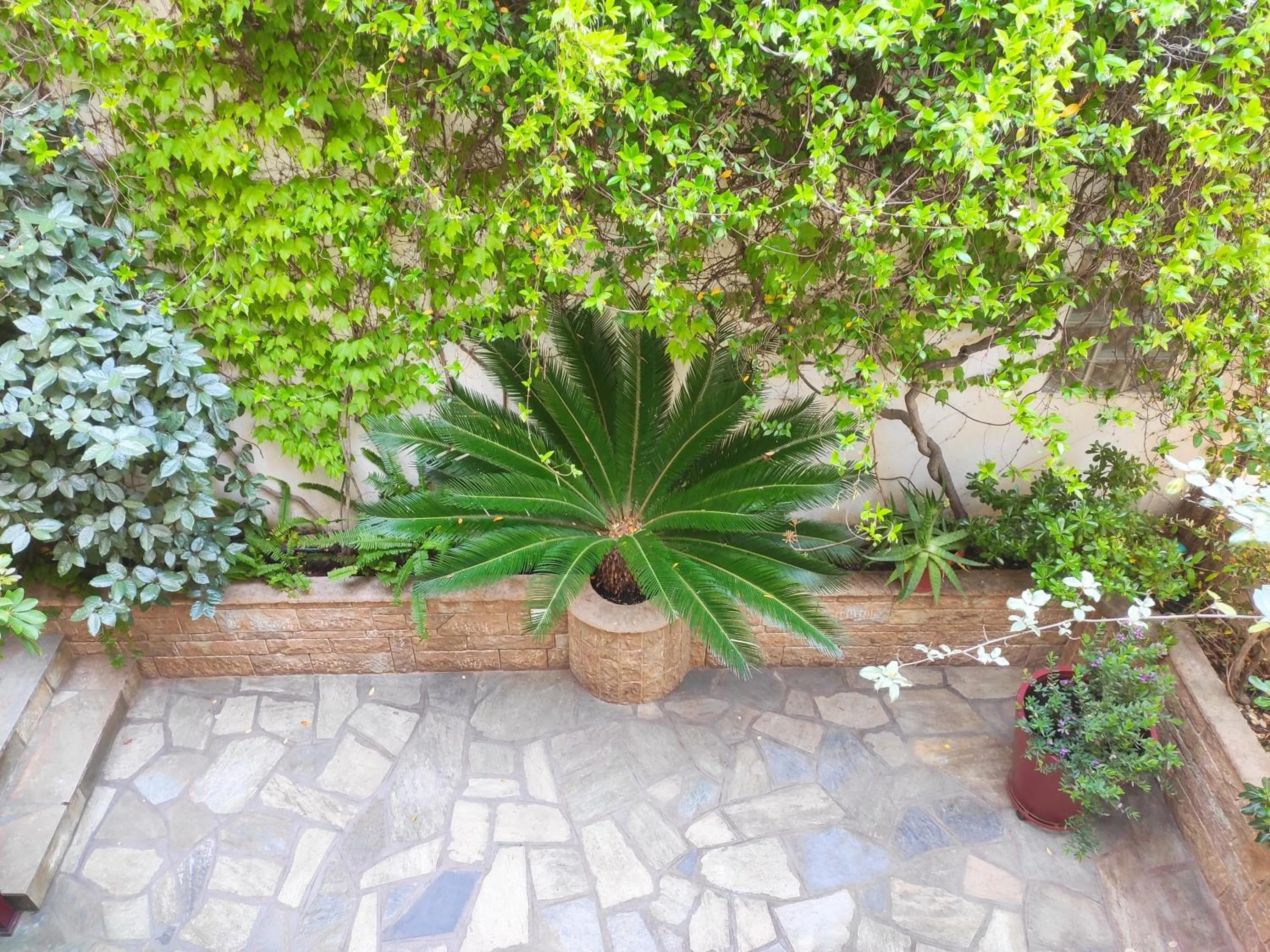 Property building in Aristea Studios