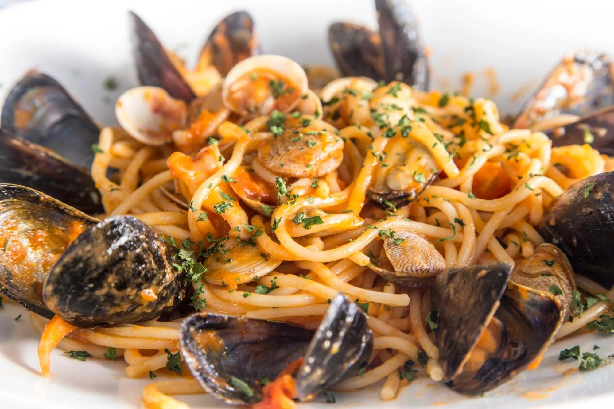 White Suite & Apartments