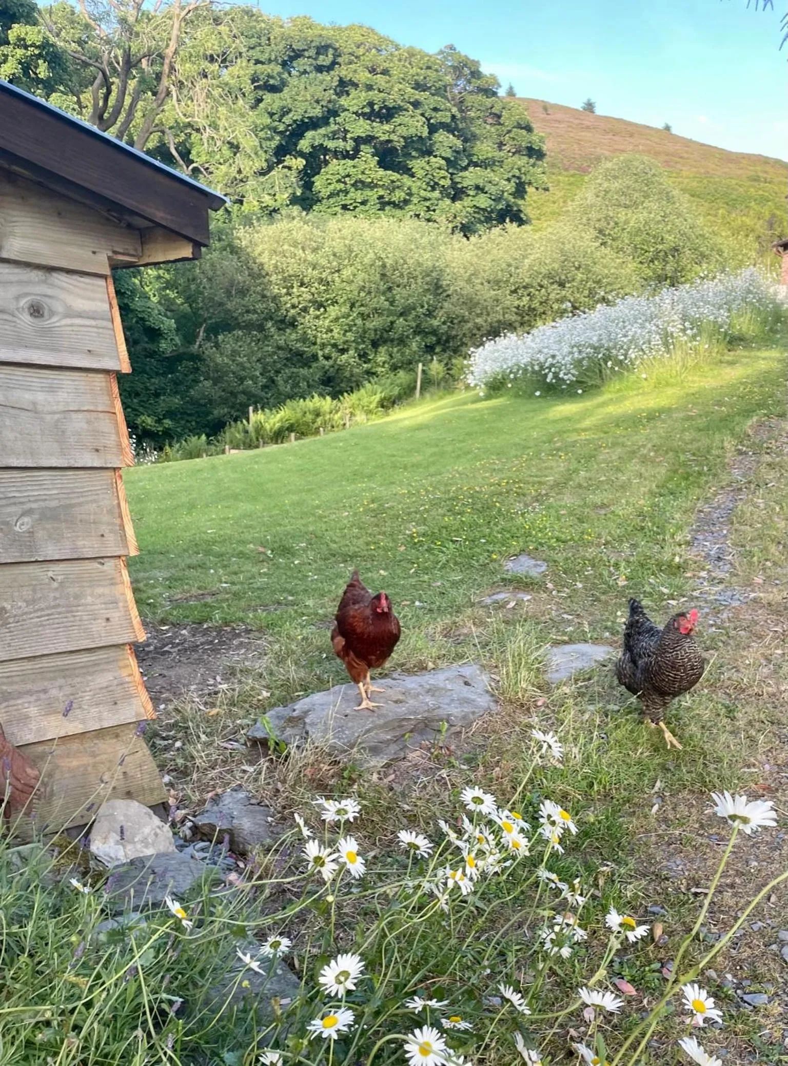 Garden view in Faraway Follies