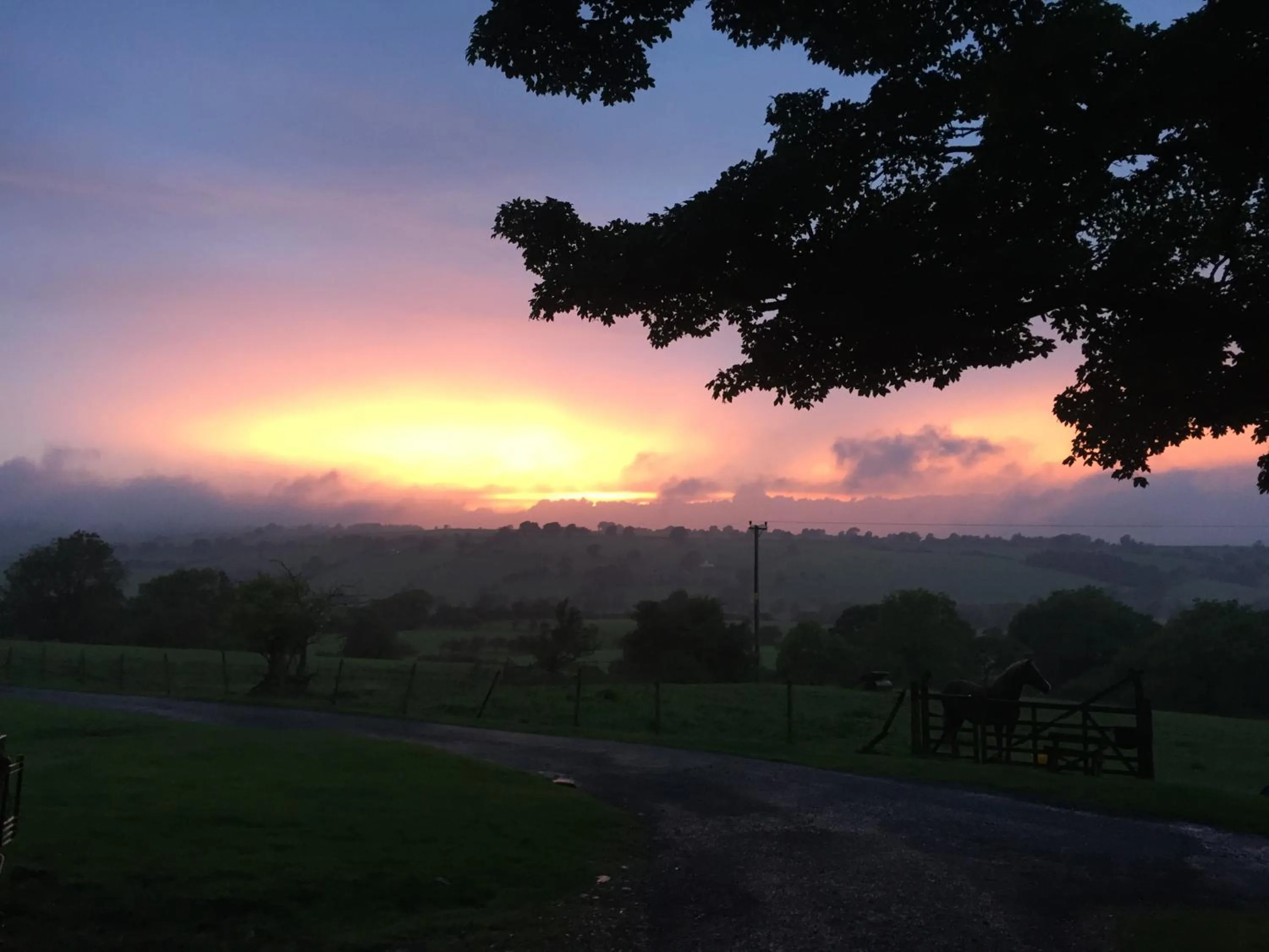 Natural landscape in Faraway Follies