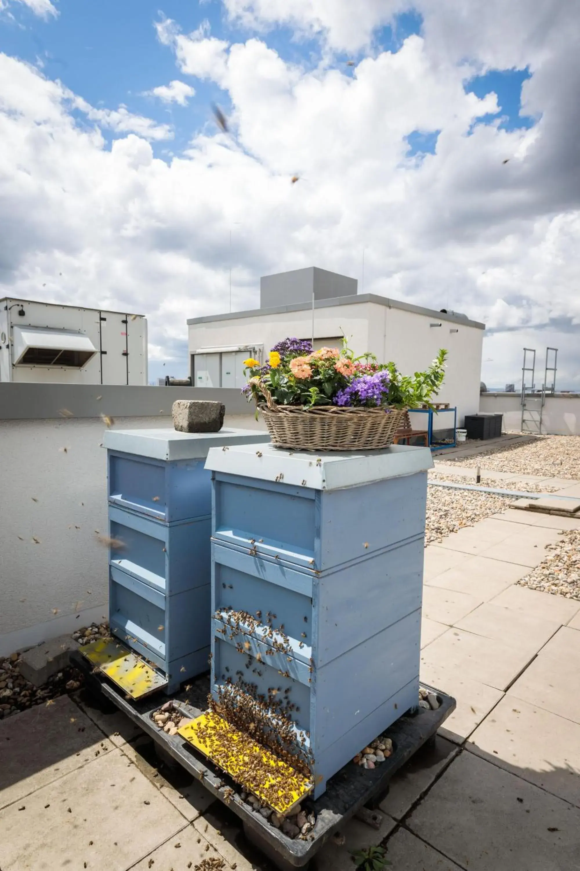 Property building in Radisson Blu Hotel, Mannheim Property building in Radisson Blu Hotel, Mannheim