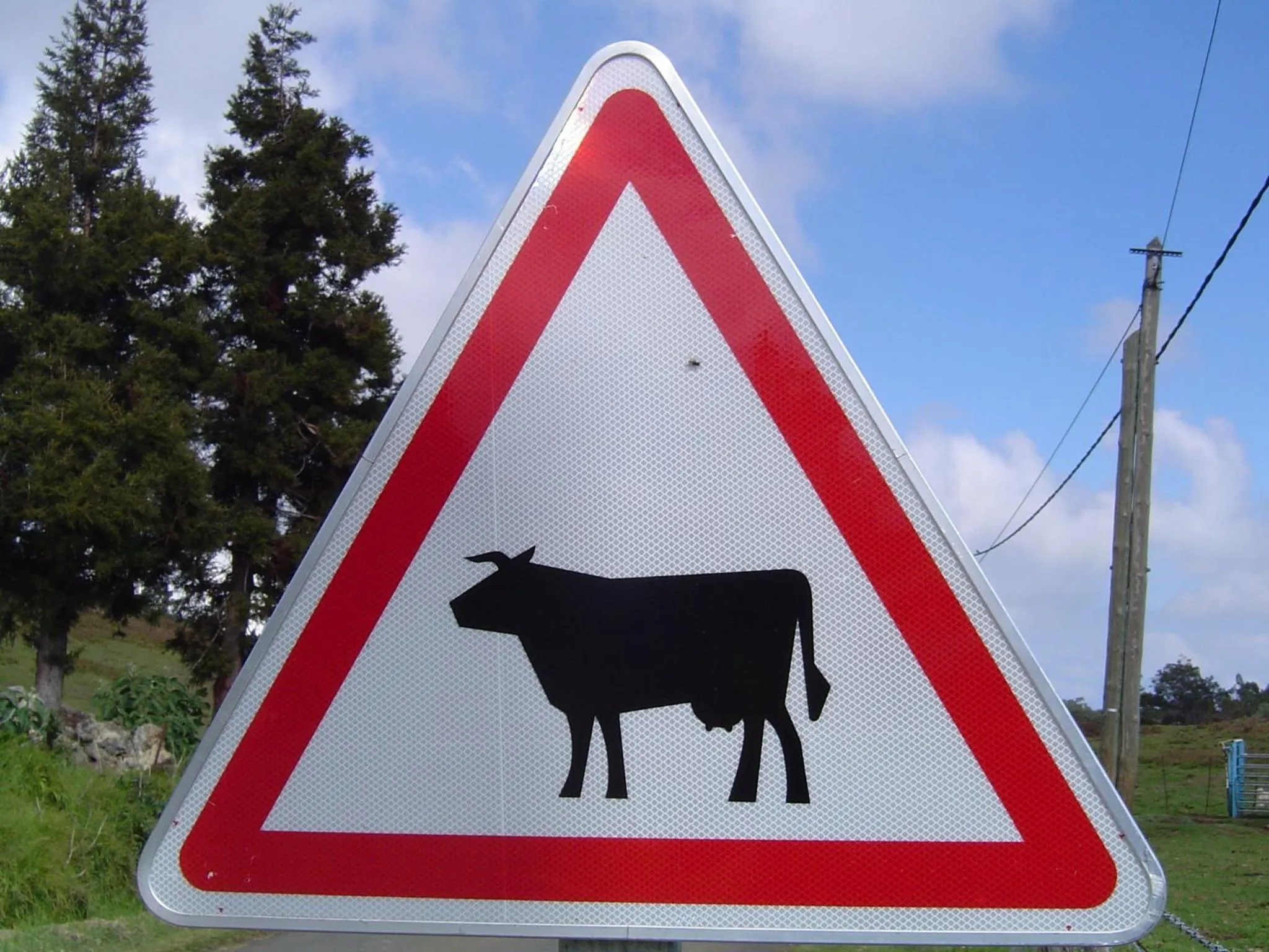 Neighbourhood in Relais du Volcan