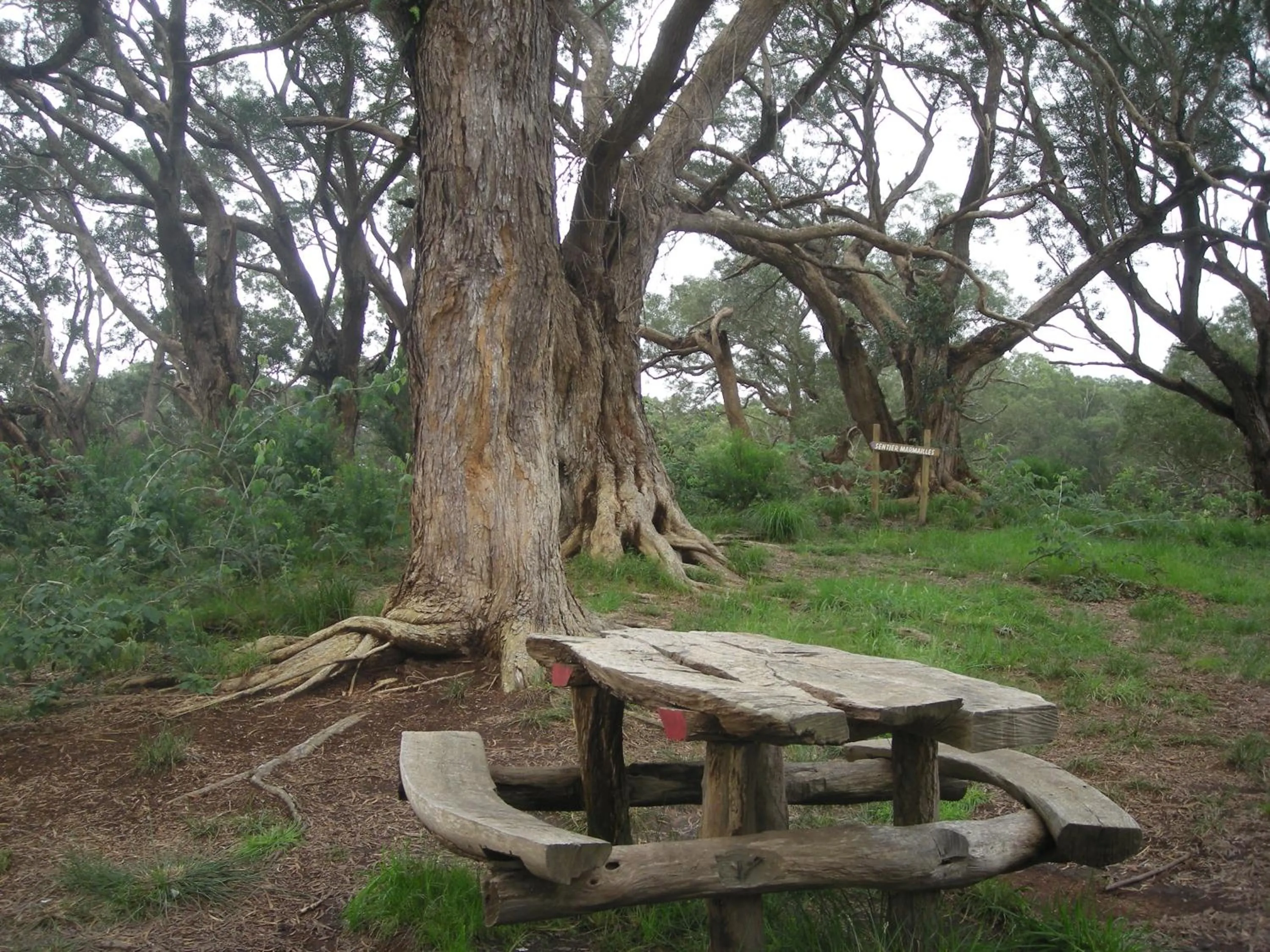Nearby landmark in Relais du Volcan