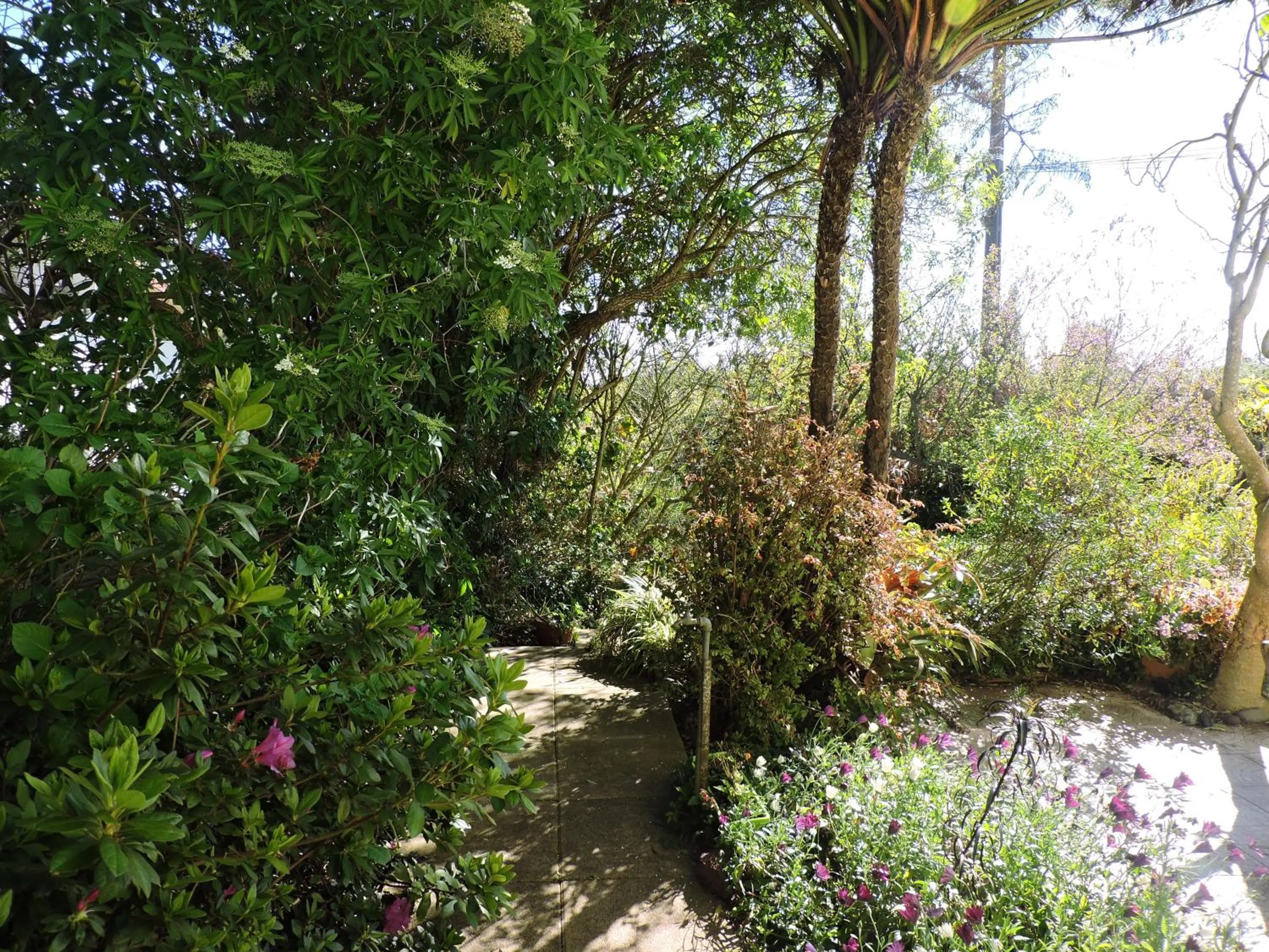 Property building in Relais du Volcan