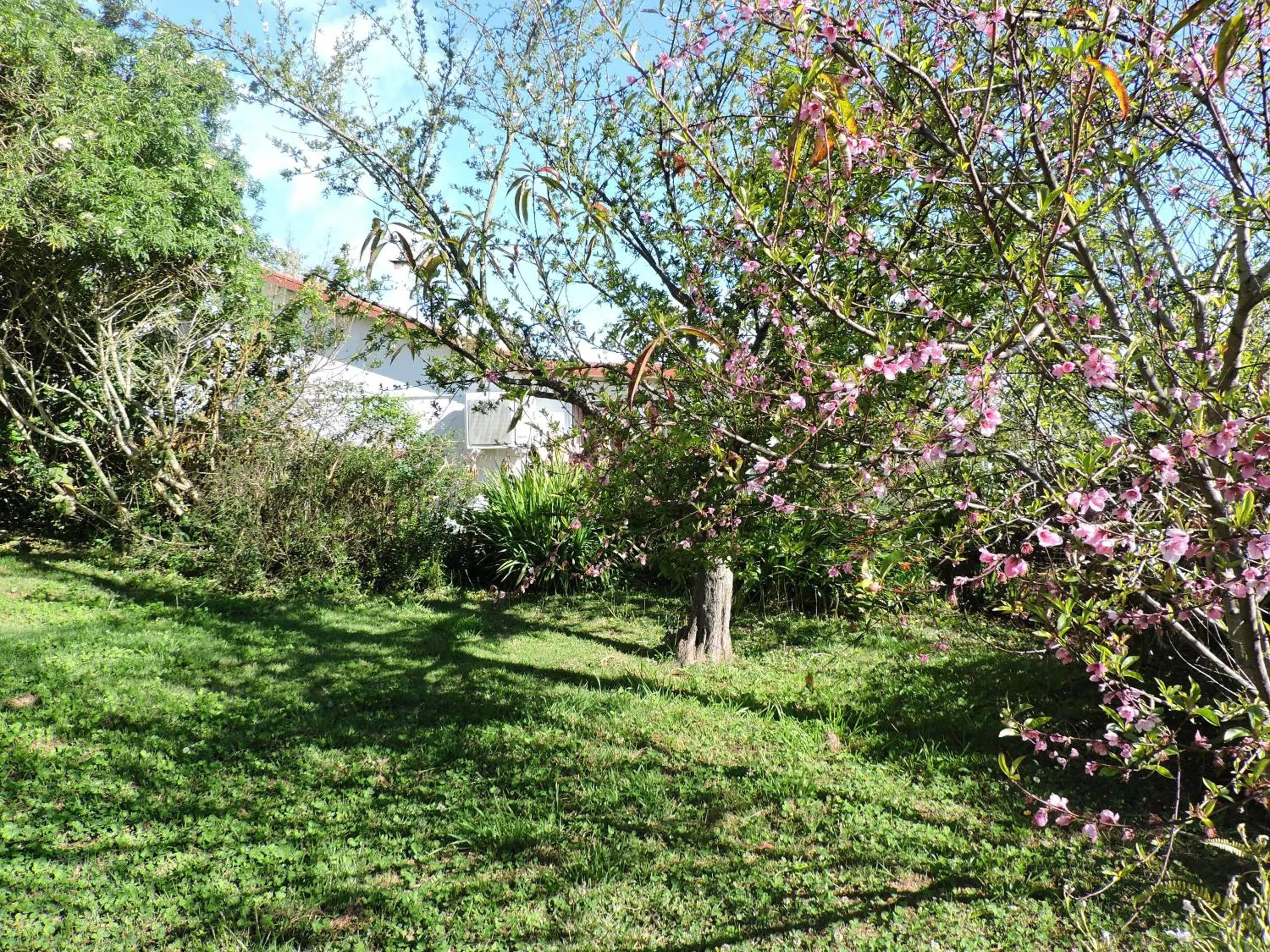 Property building in Relais du Volcan
