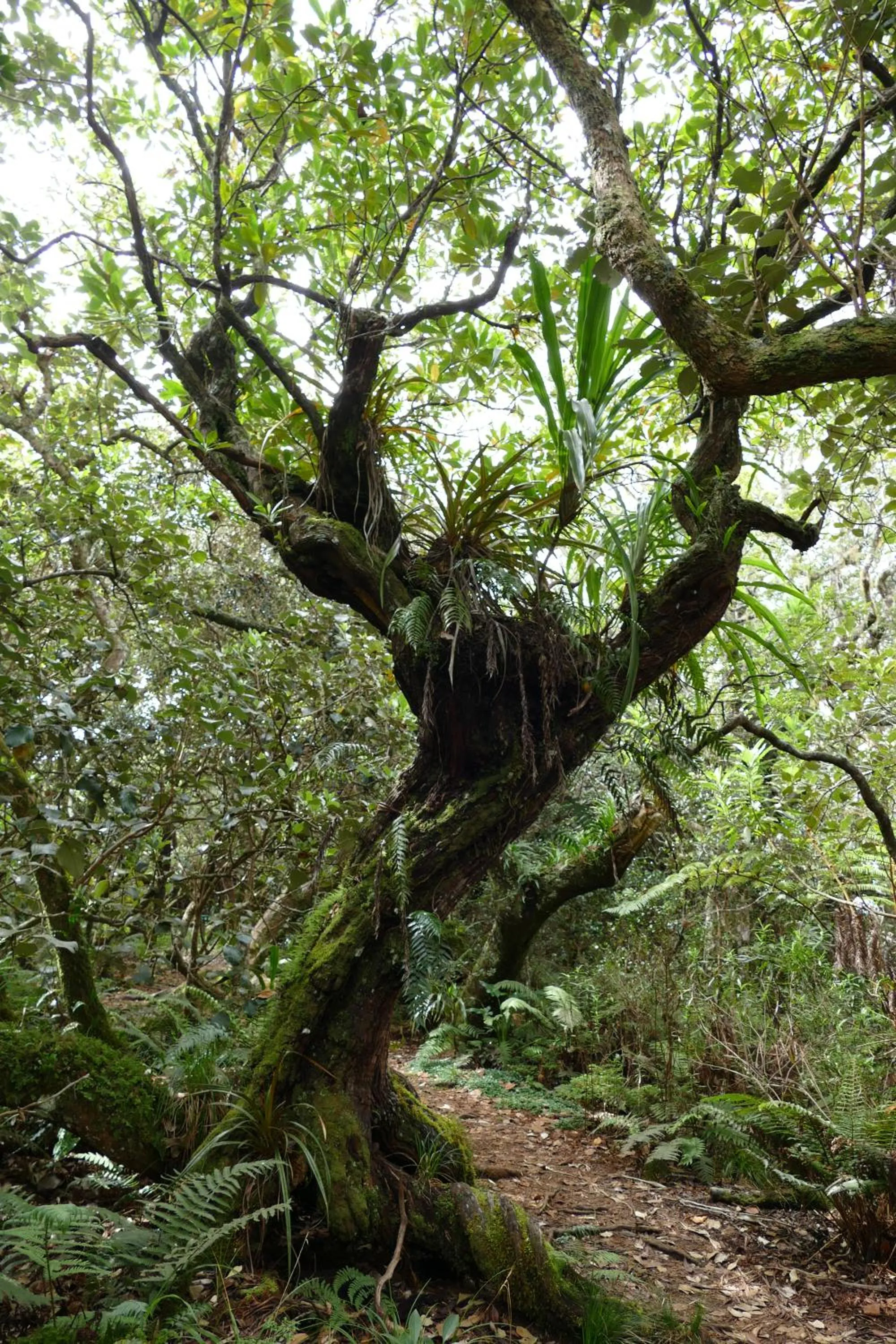 Nearby landmark in Relais du Volcan