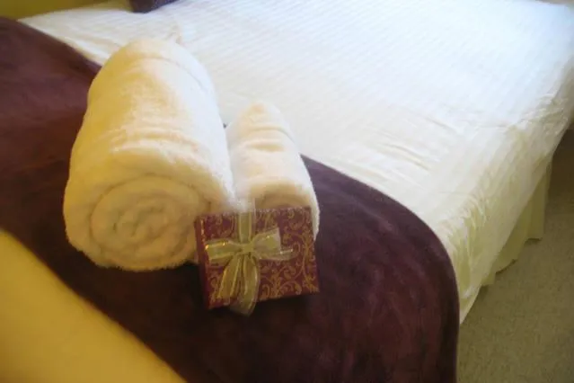 Bed in The Holly Tree