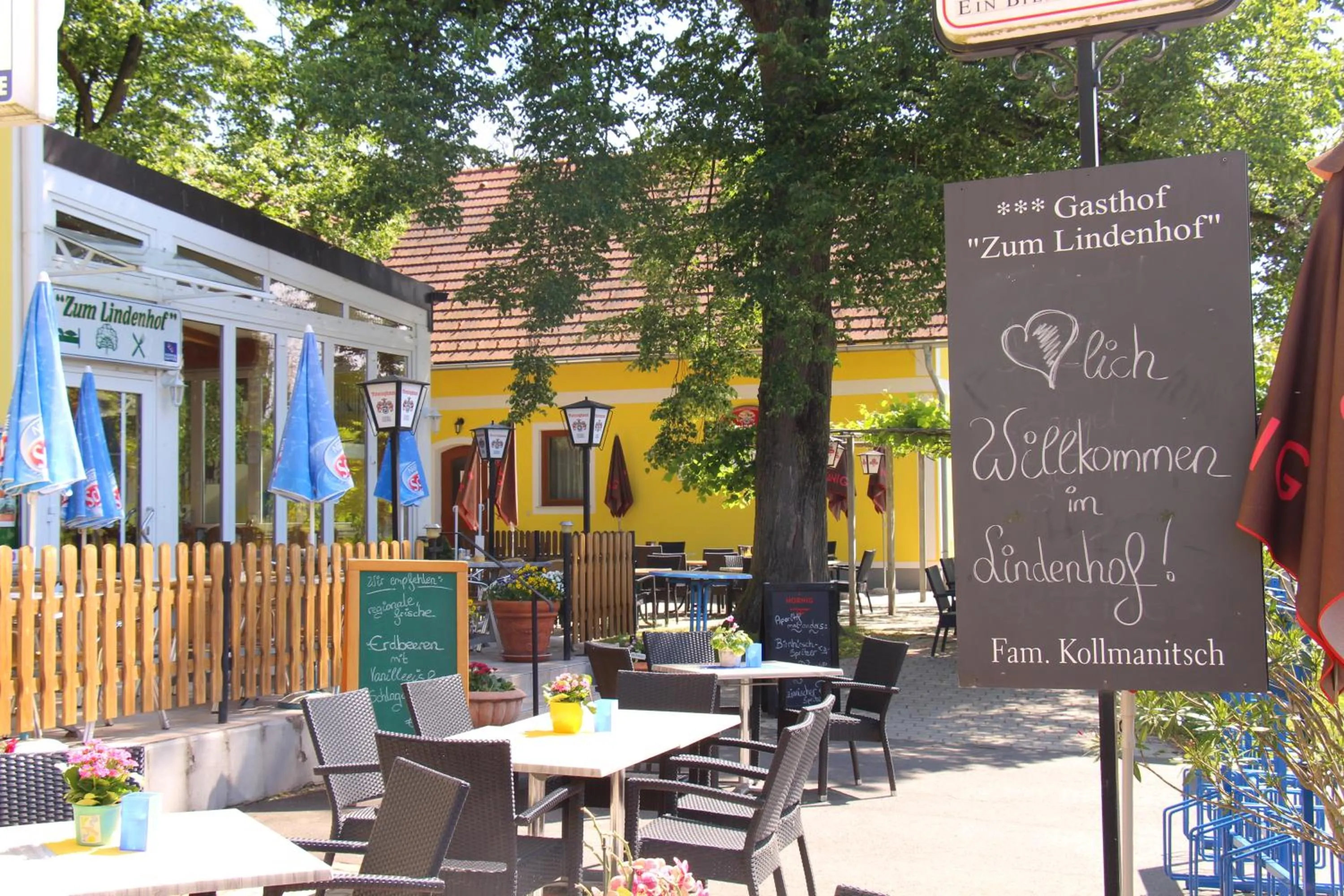 Balcony/Terrace in Gasthof Zum Lindenhof