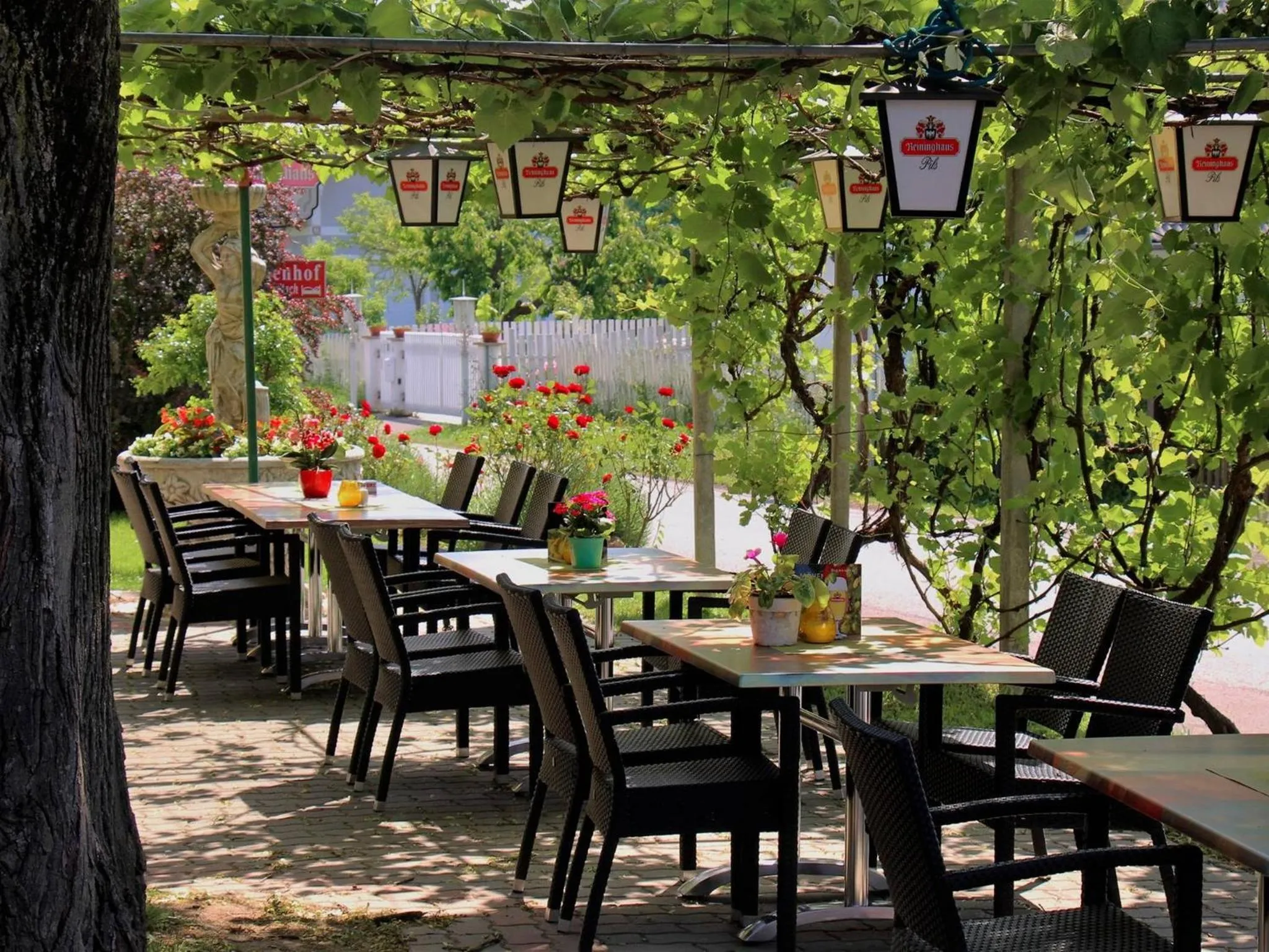 Restaurant/places to eat in Gasthof Zum Lindenhof