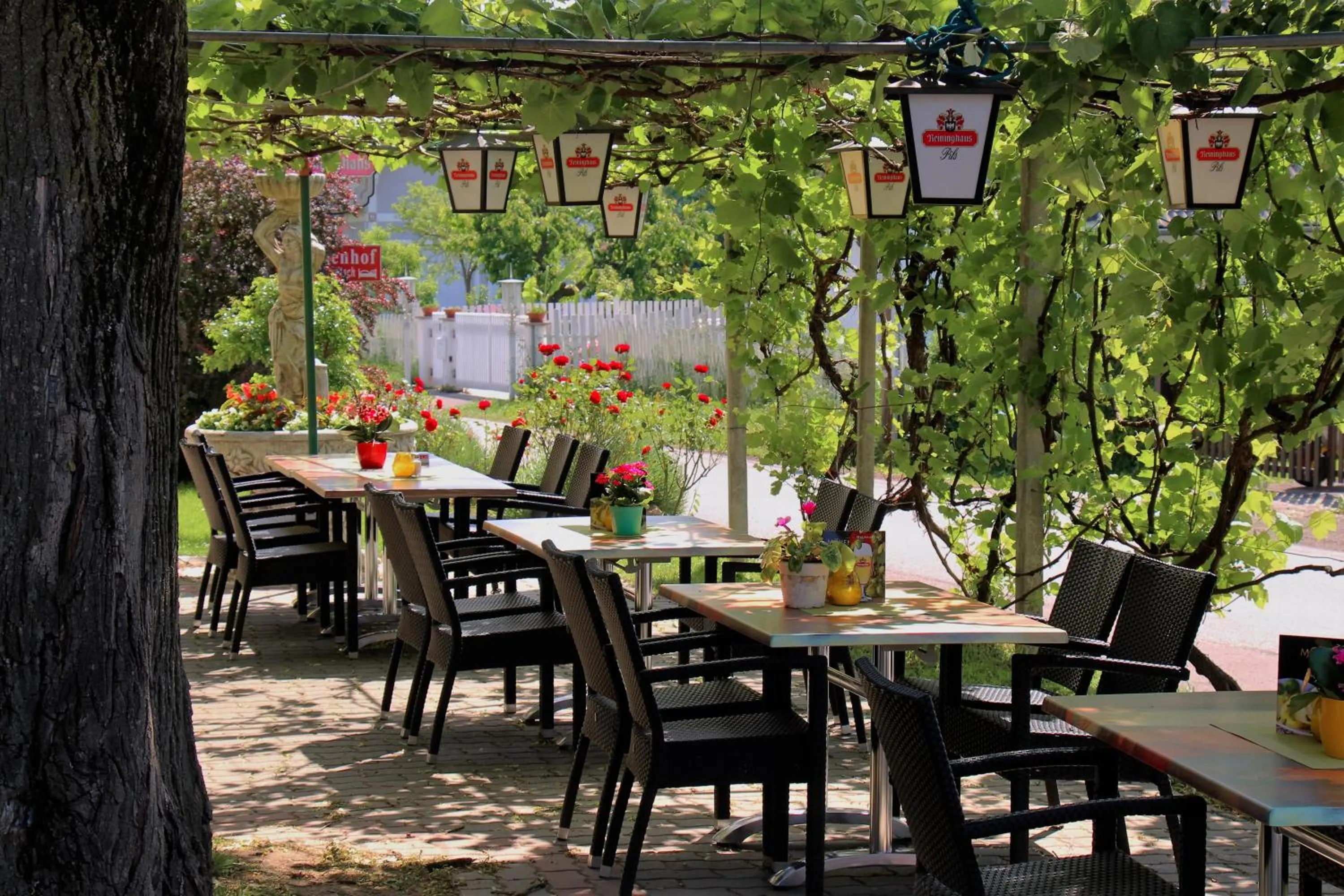 Balcony/Terrace in Gasthof Zum Lindenhof