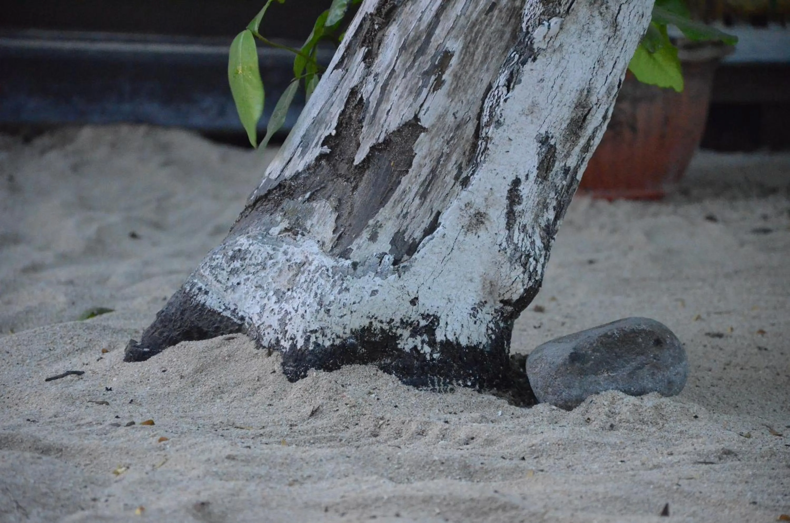 Decorative detail in Serene Beach Villa