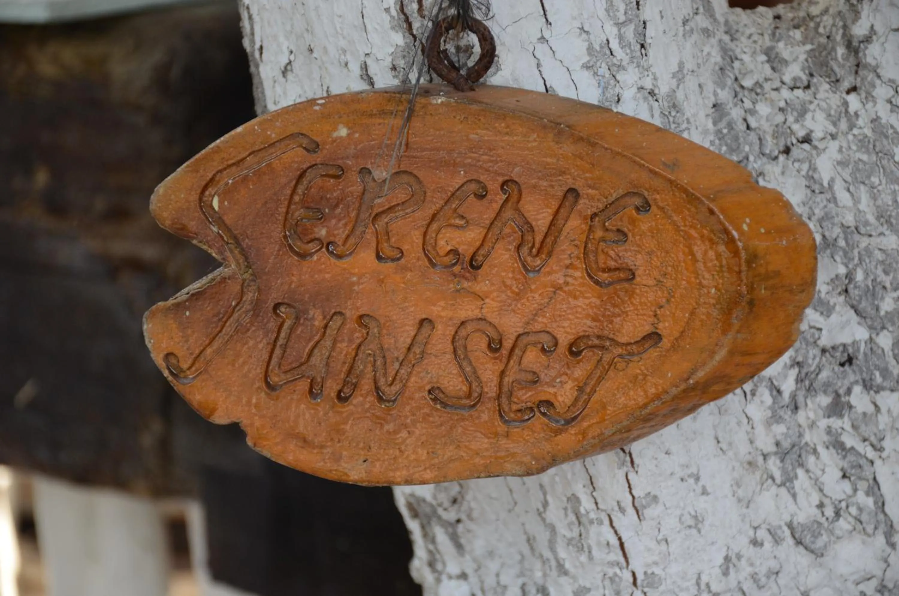 Property logo or sign in Serene Beach Villa