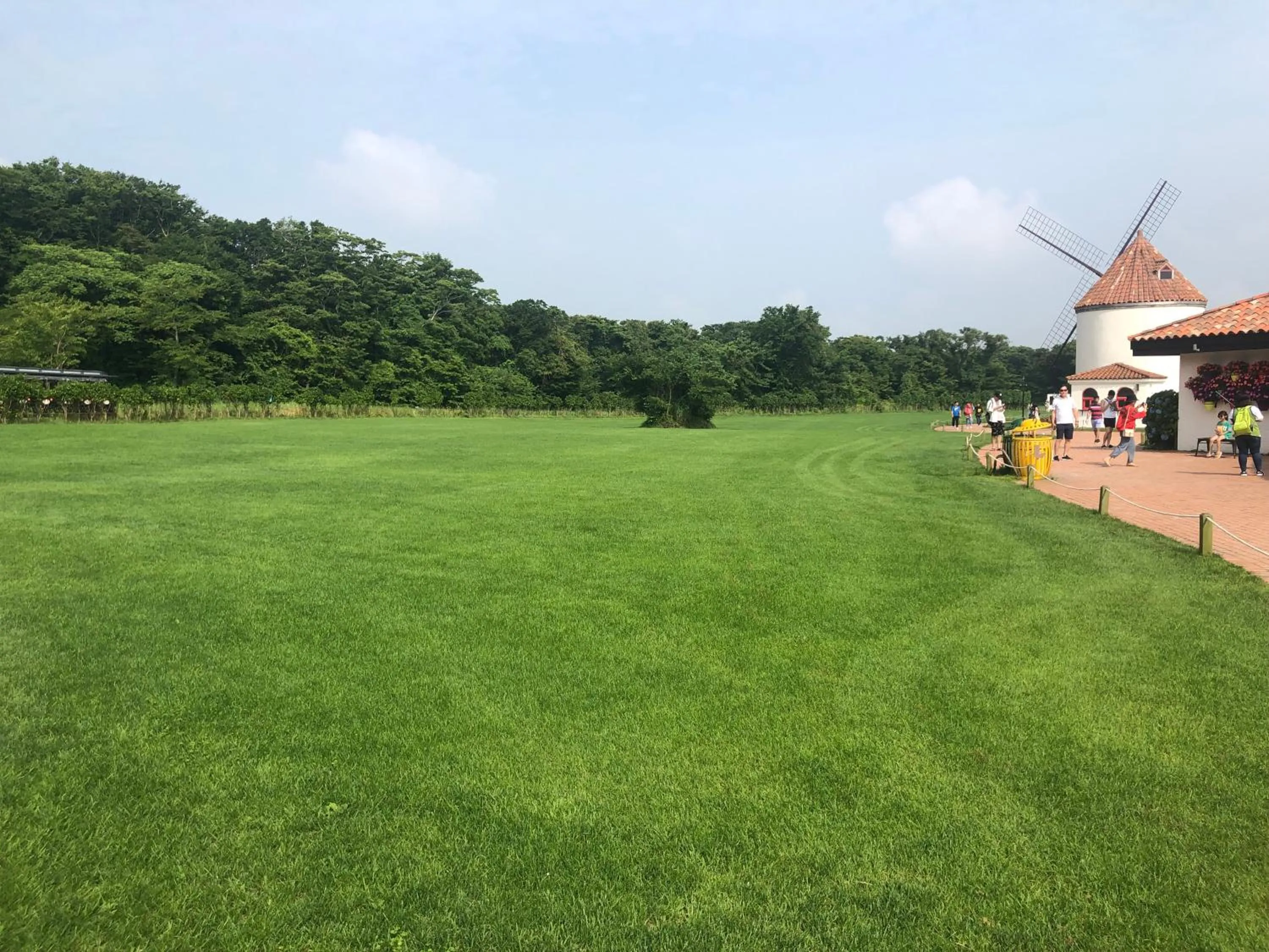 Natural landscape in Seogwipo JS Hotel